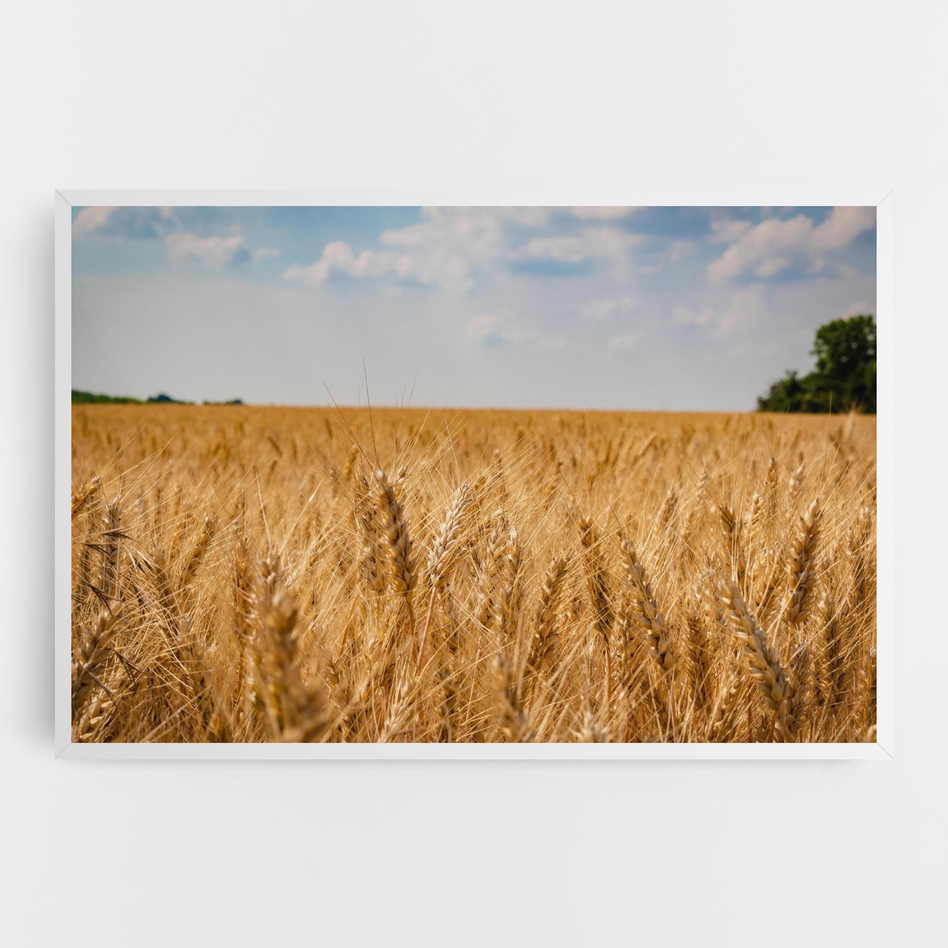 Wheat Land View mockup 0