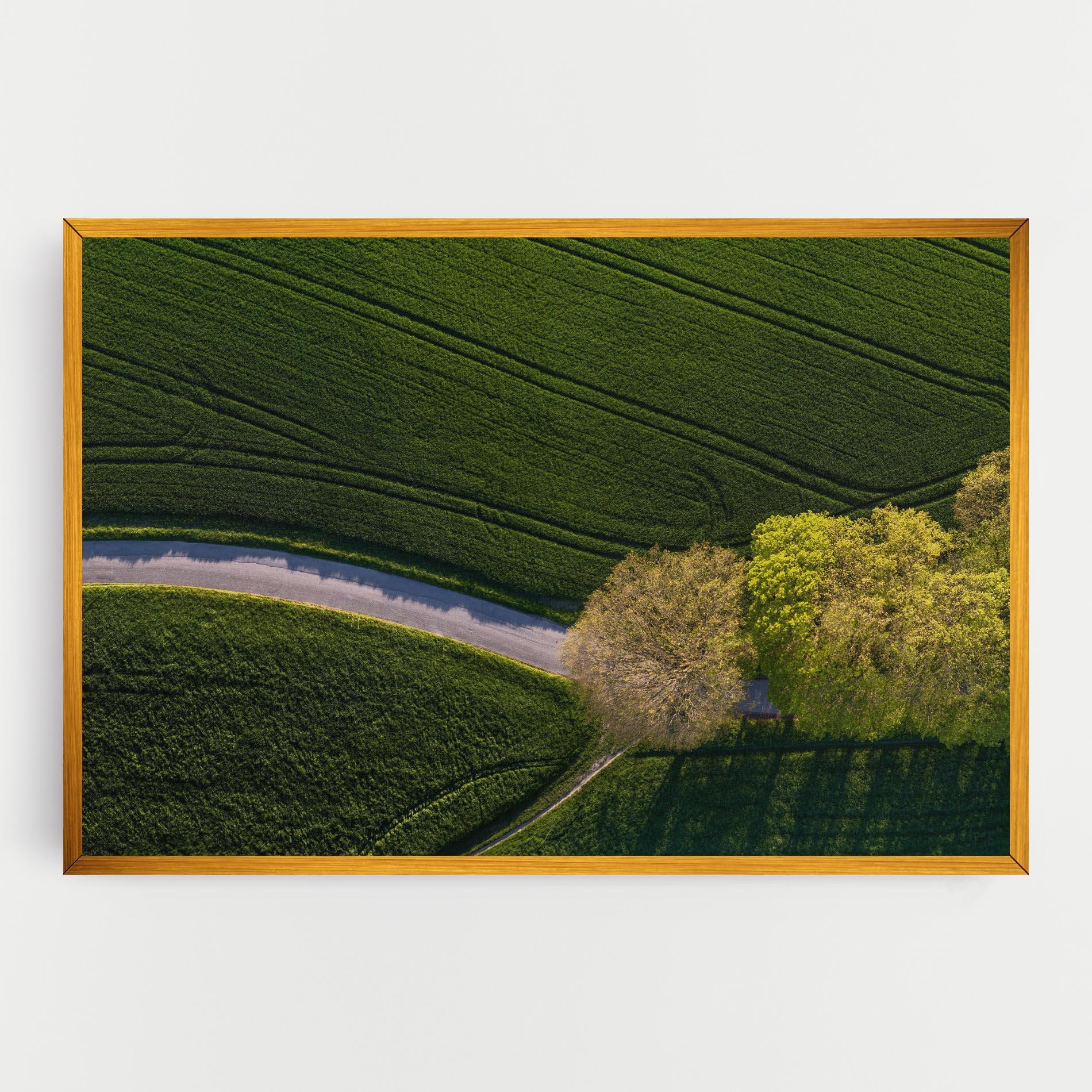 Tablou Canvas Green Road mockup 0