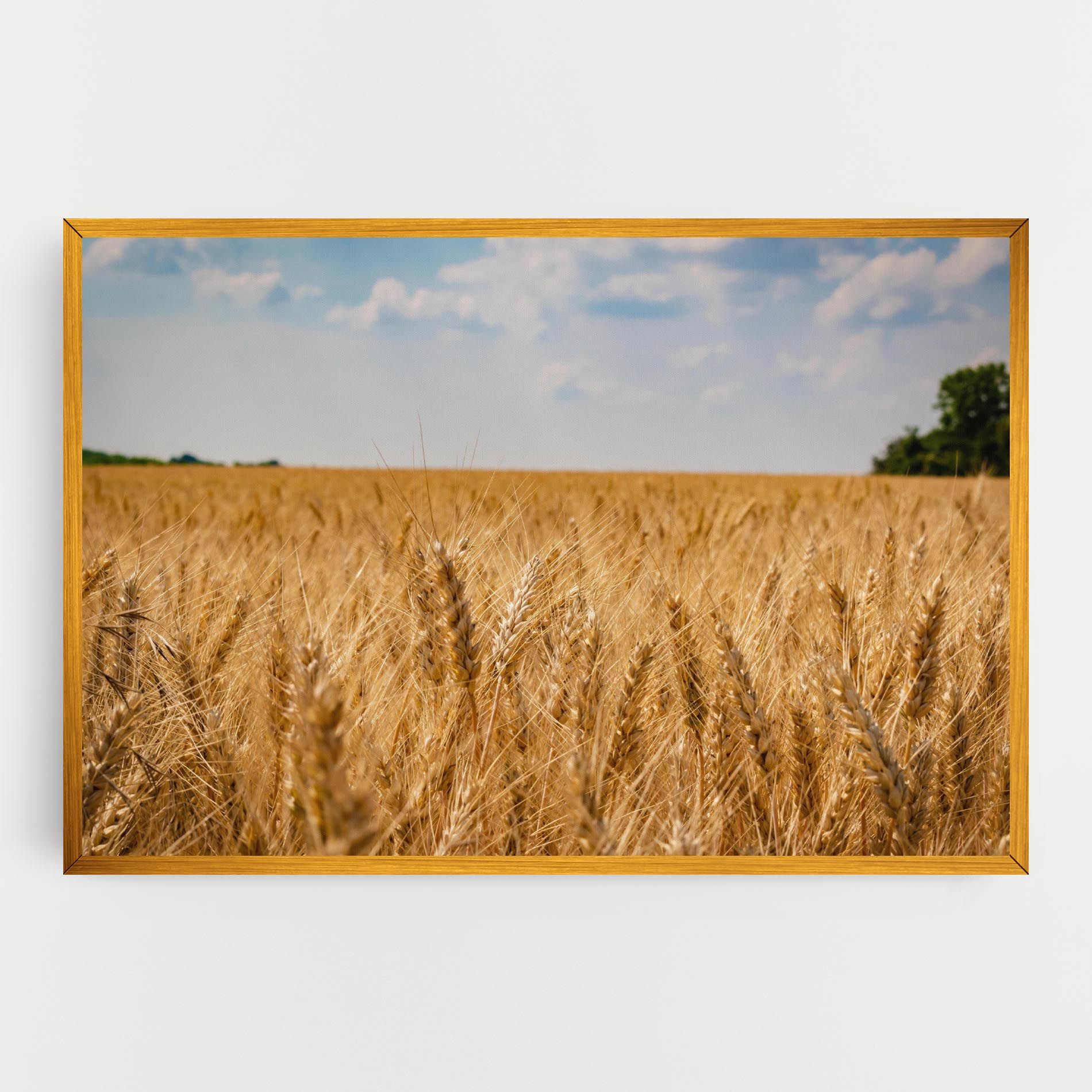 Wheat Land View mockup 0