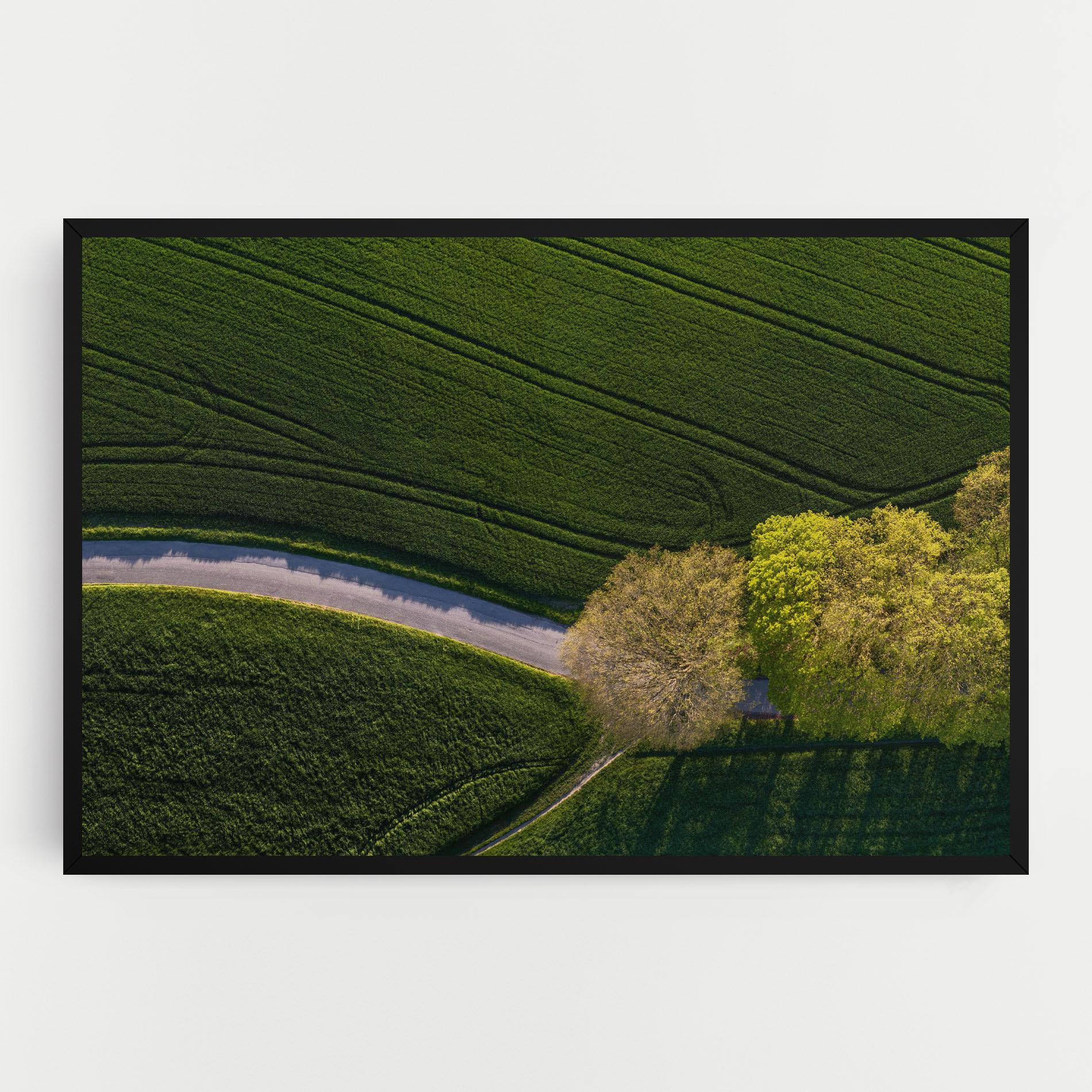 Tablou Canvas Green Road mockup 0