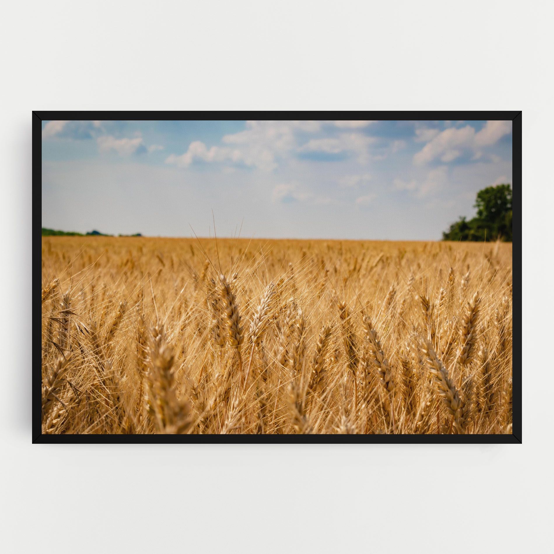 Wheat Land View mockup 0