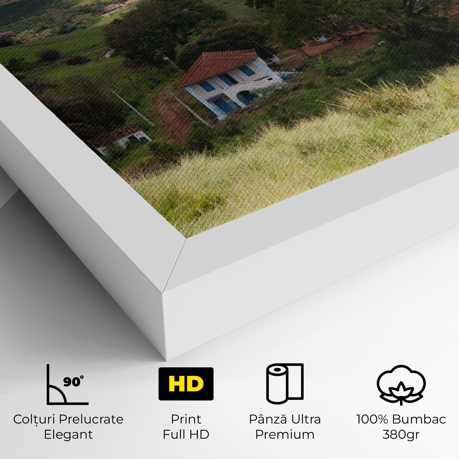 Green Countryside mockup 4