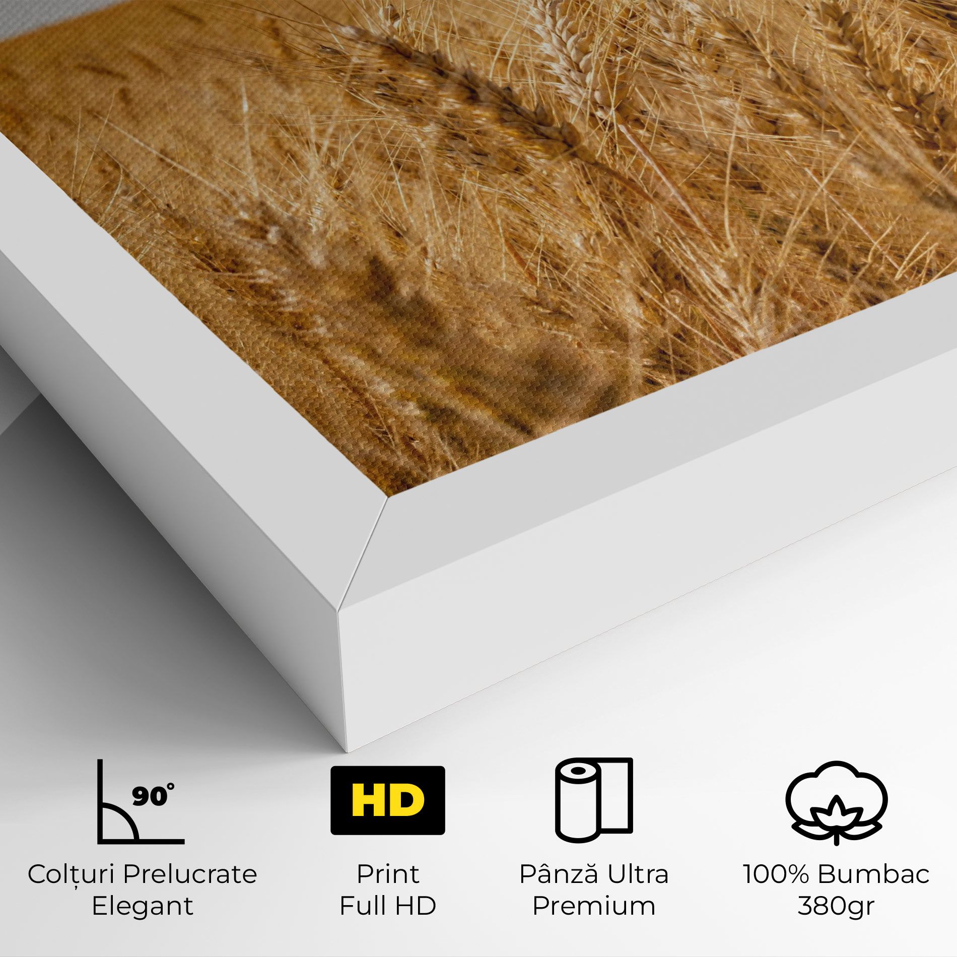 Wheat Land View mockup 4