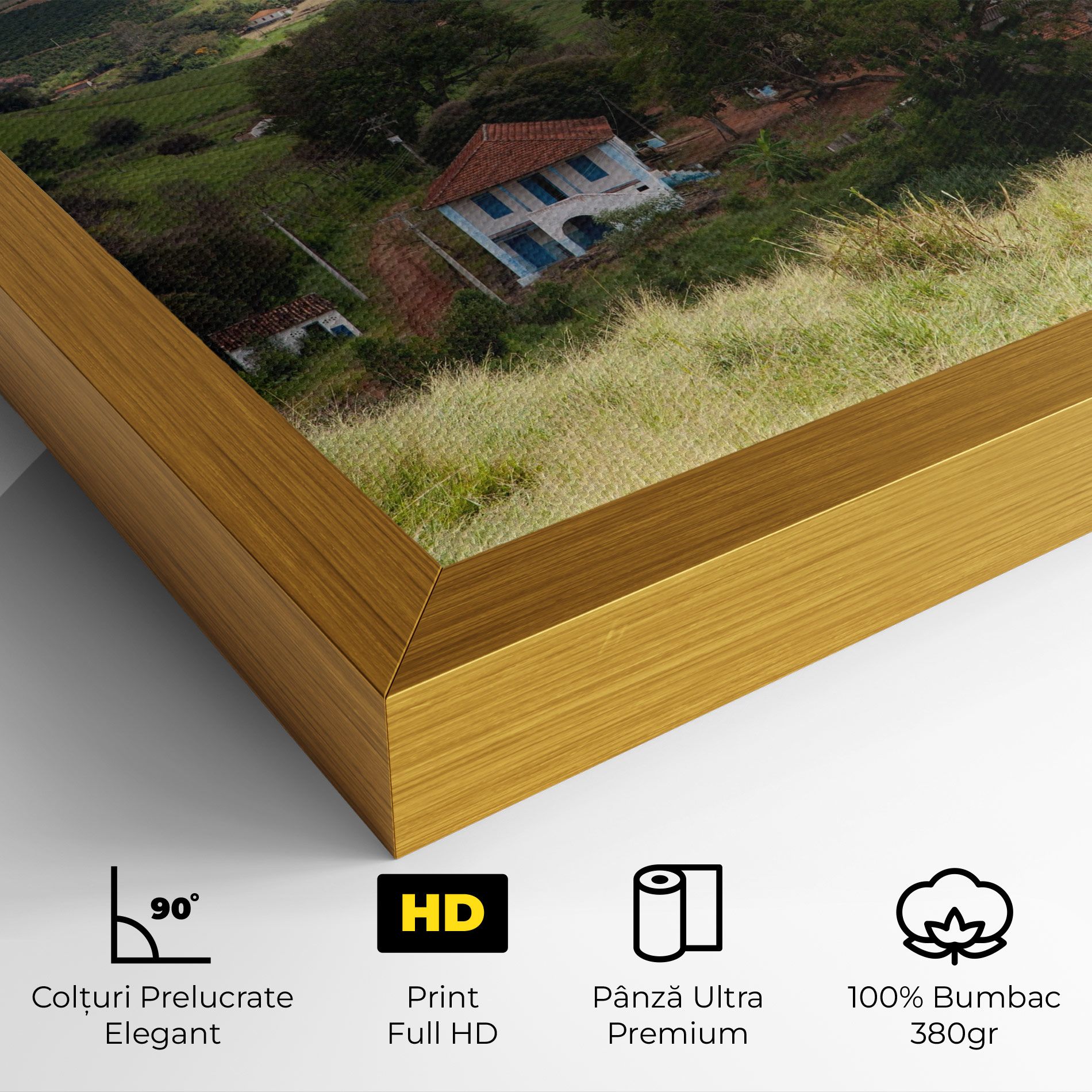 Green Countryside mockup 4