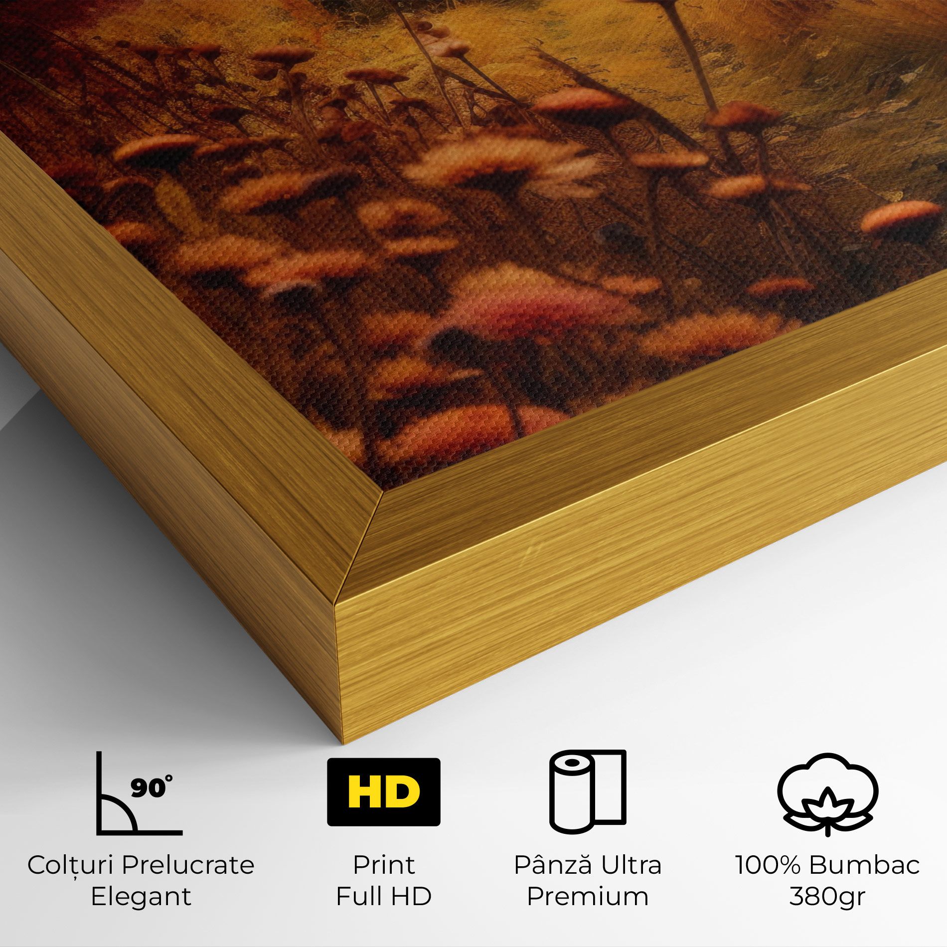 Small Cabin Field mockup 4