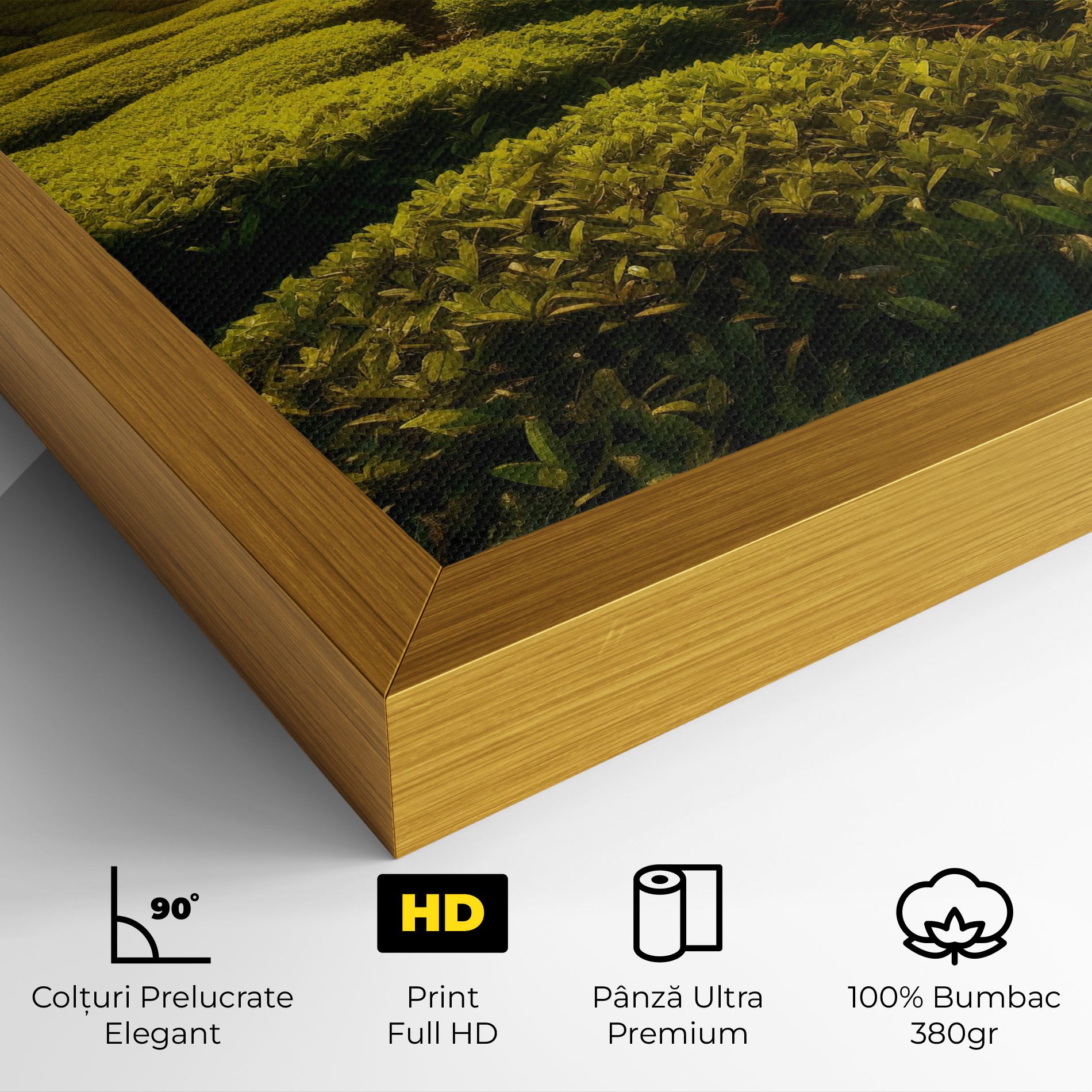 Tea Fields mockup 4
