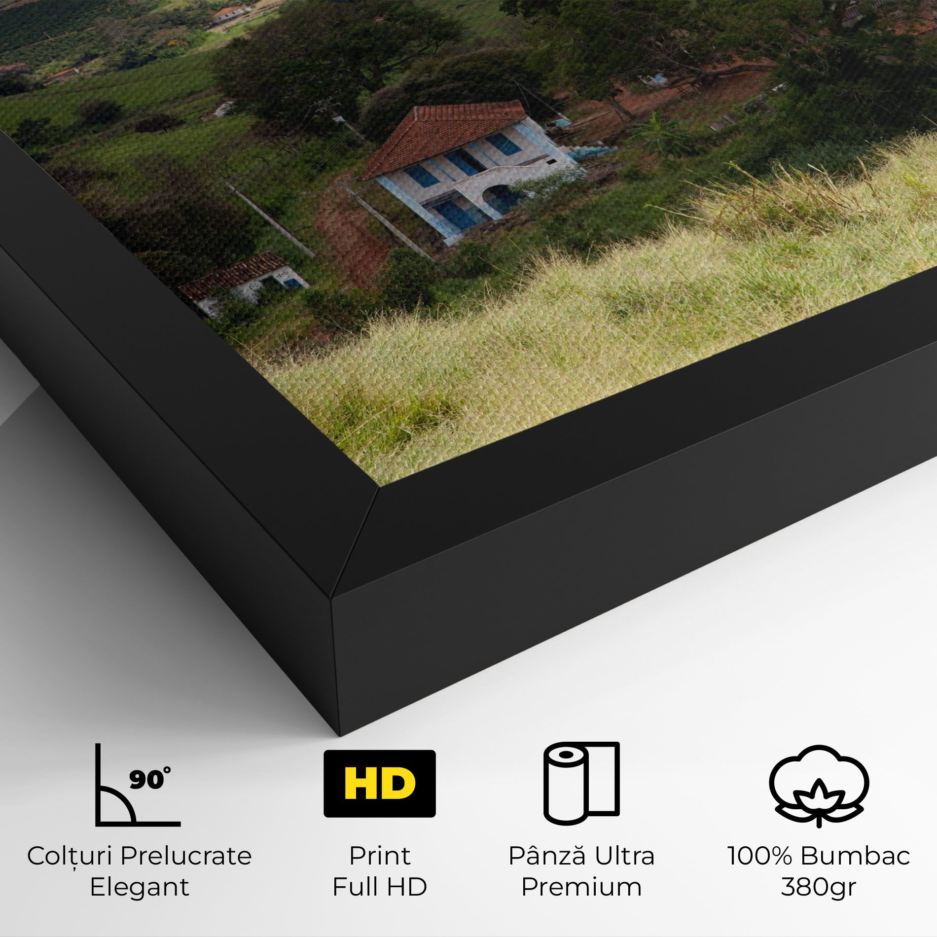 Green Countryside mockup 4