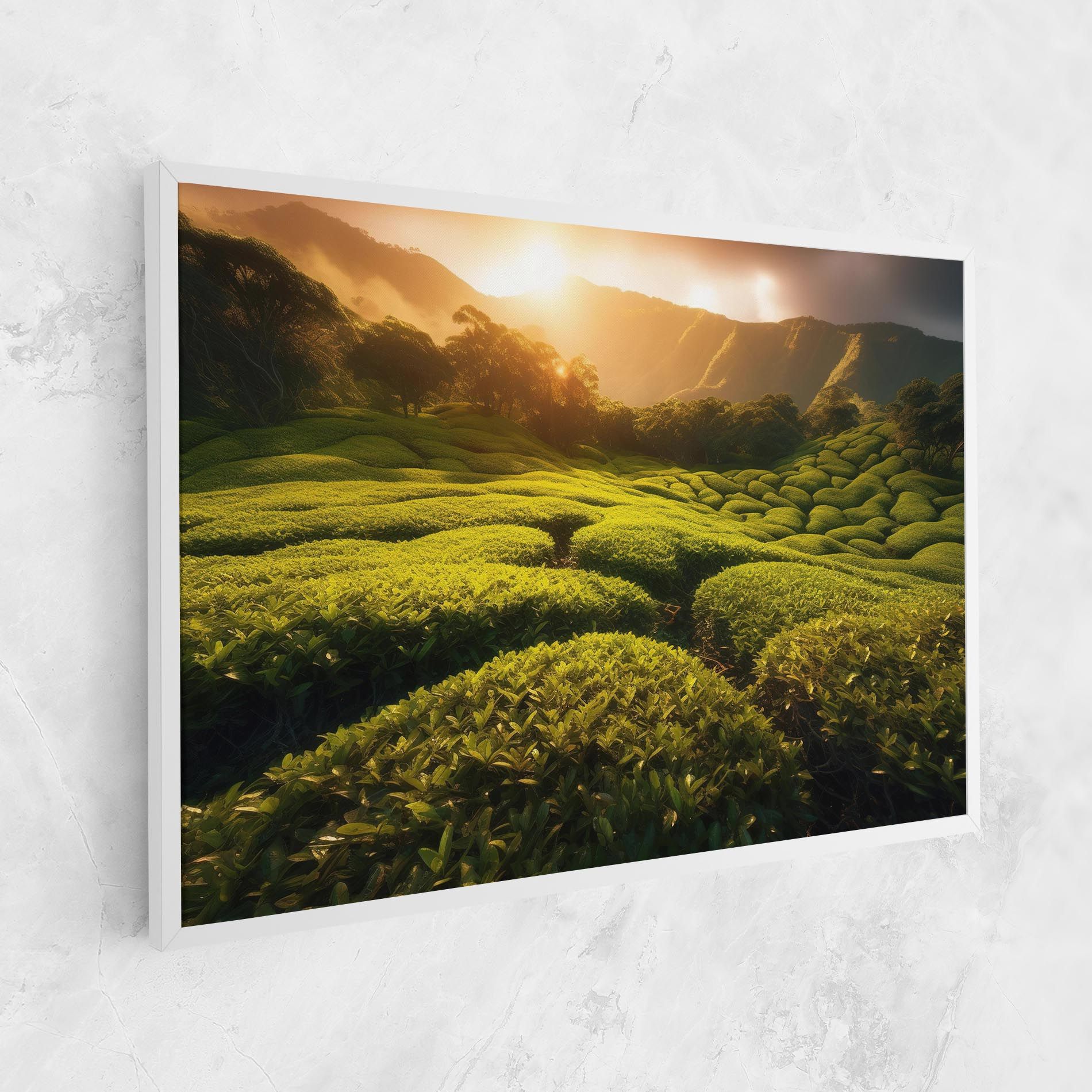 Tea Fields mockup 1
