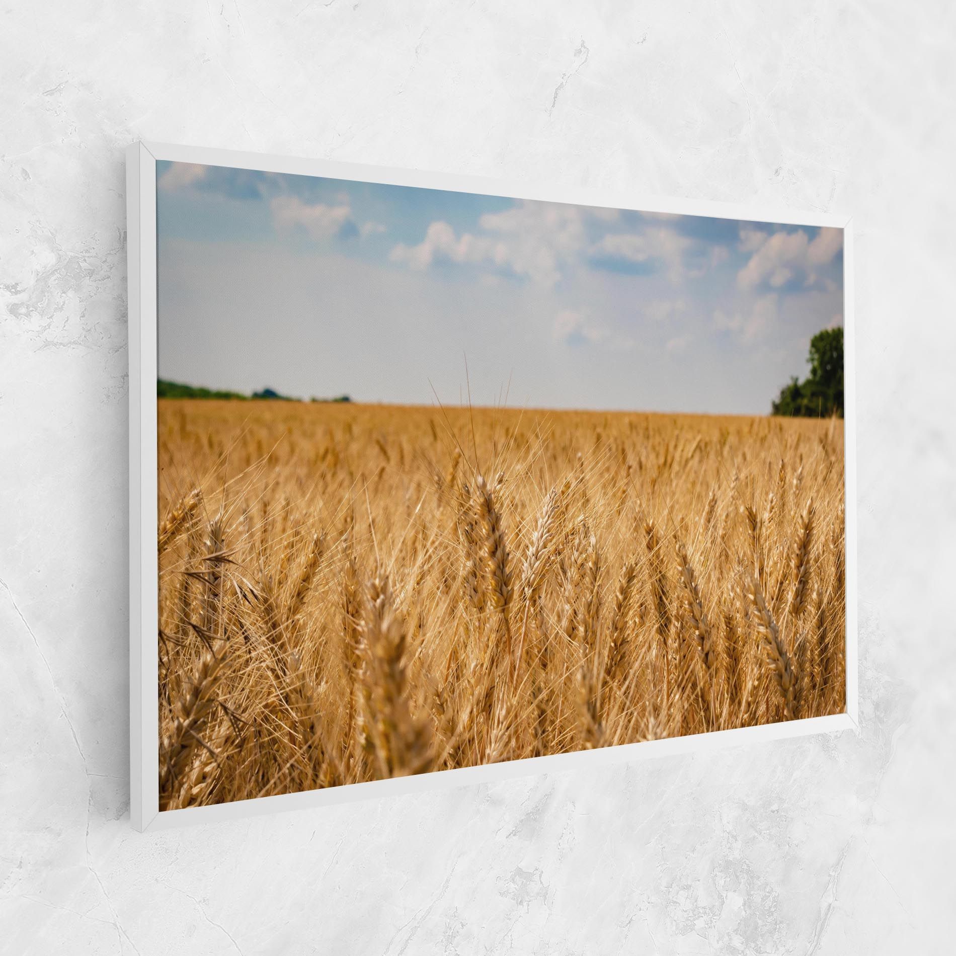 Wheat Land View mockup 1