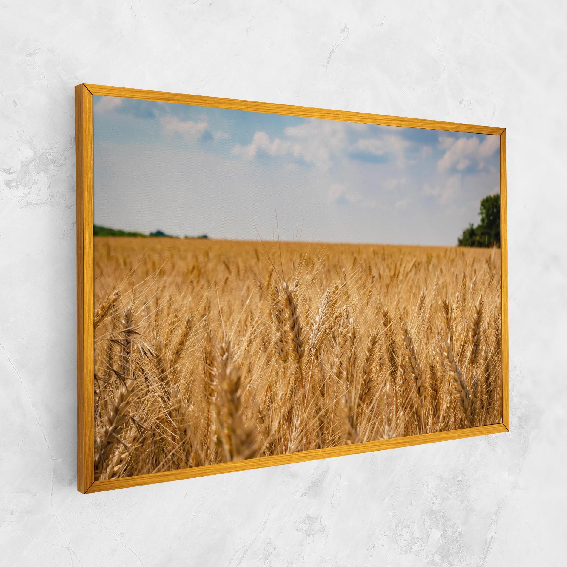 Wheat Land View mockup 1