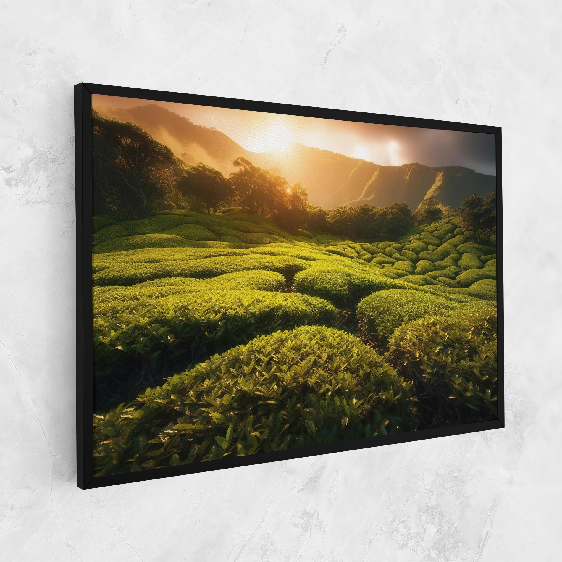 Tea Fields mockup 1