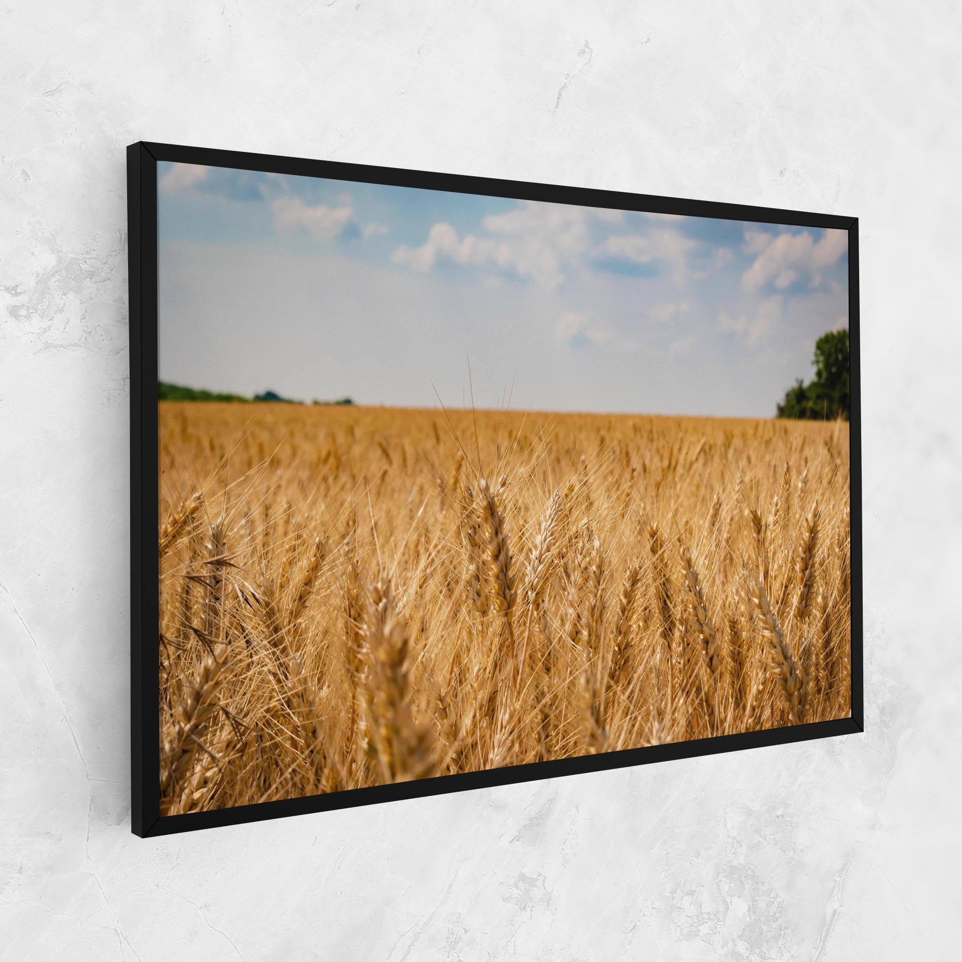 Wheat Land View mockup 1