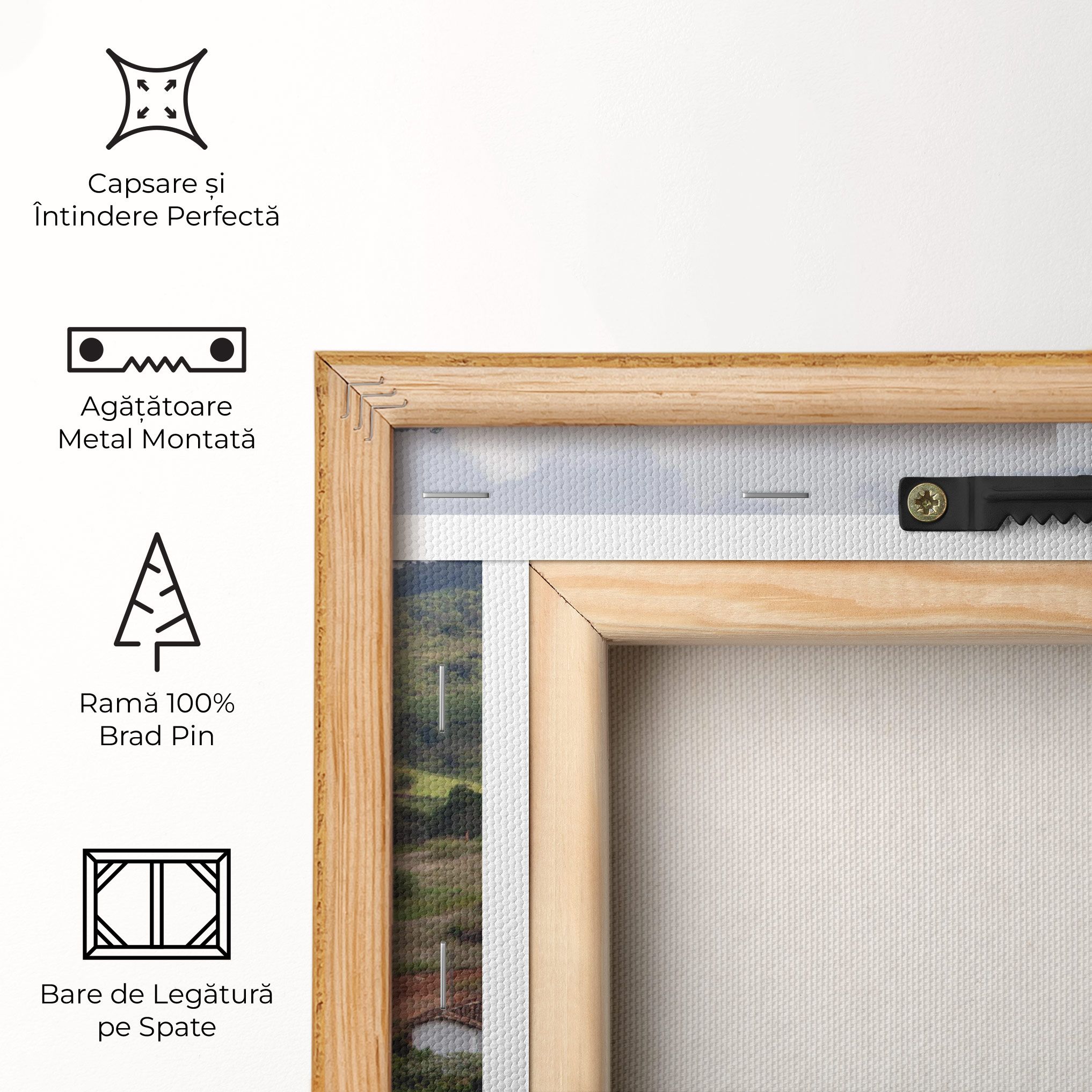 Green Countryside mockup 5