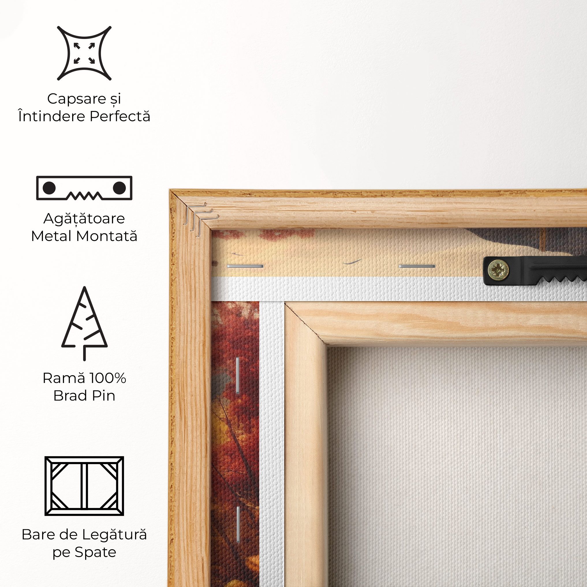 Small Cabin Field mockup 5