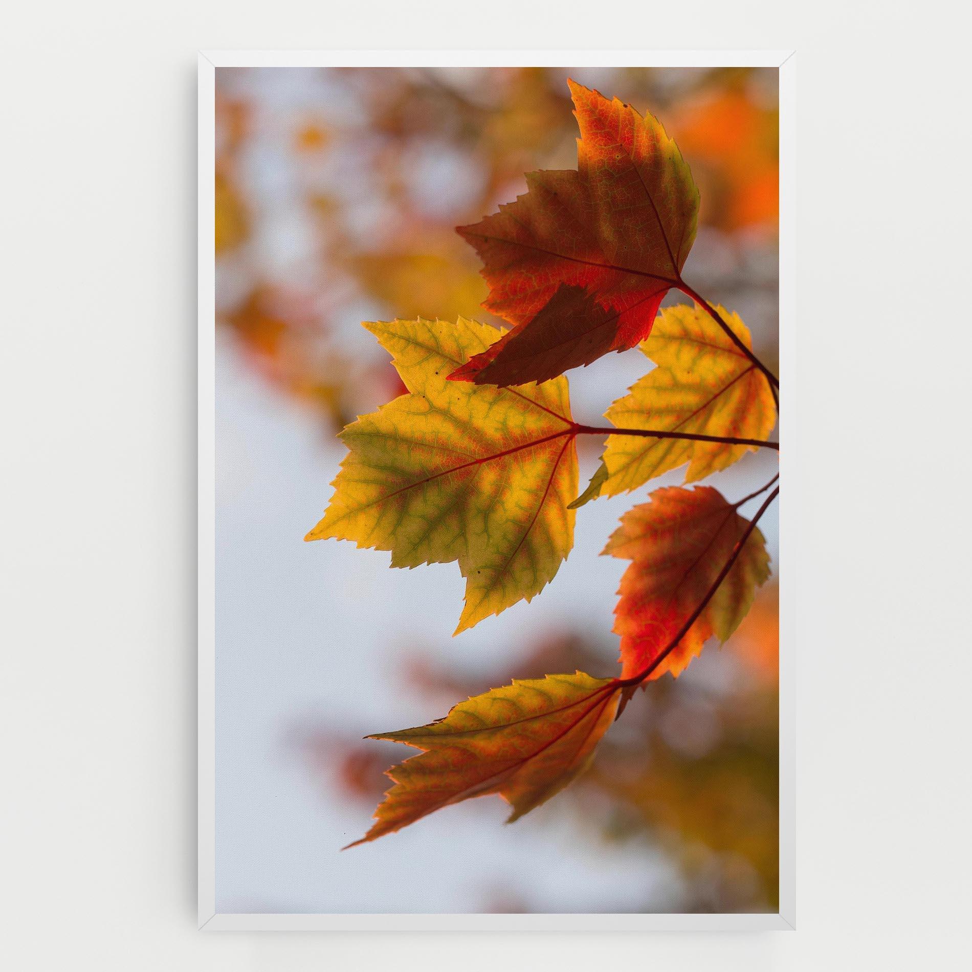 Tablou Canvas Red Yellow Autumn mockup 0
