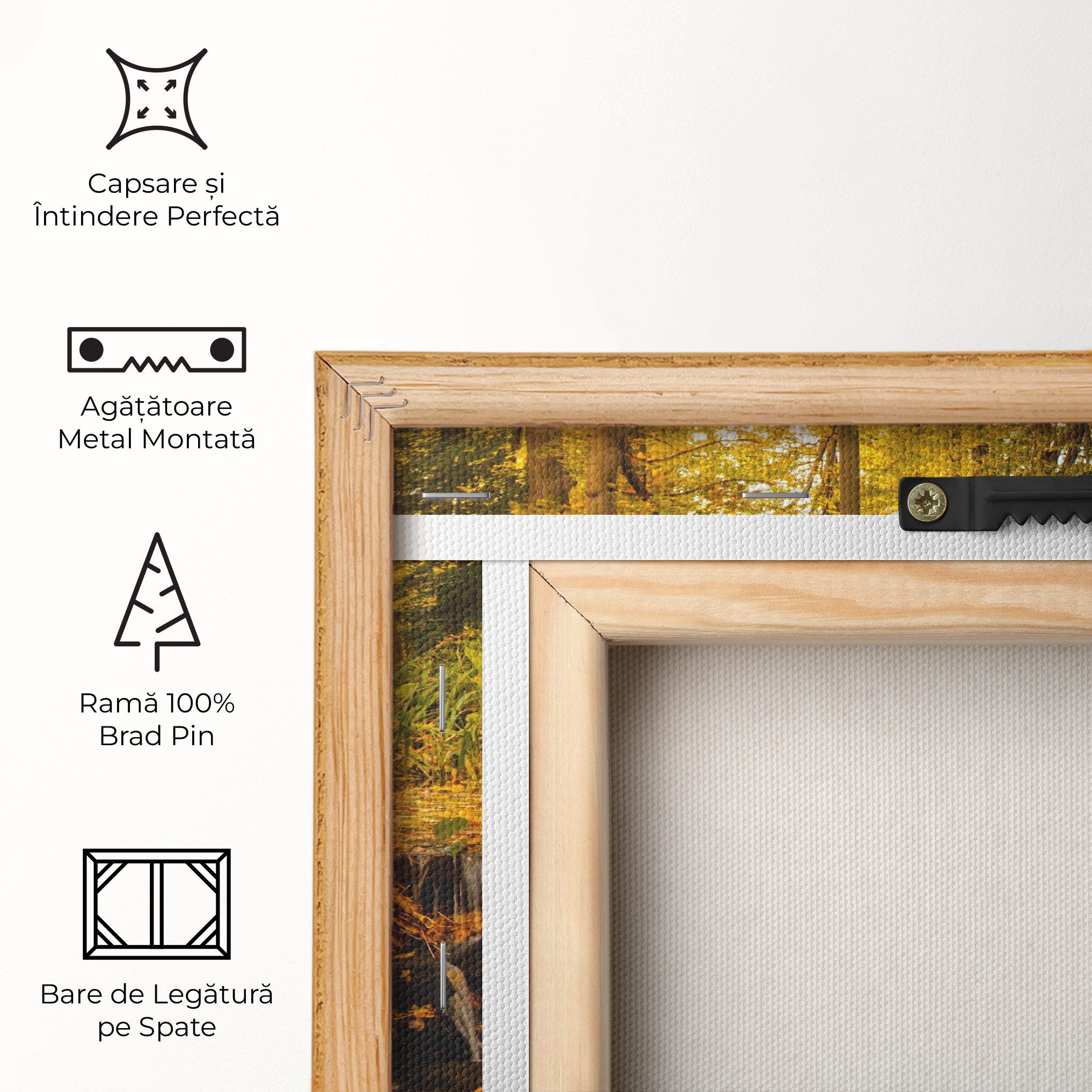 Autumn Waterfall mockup 5