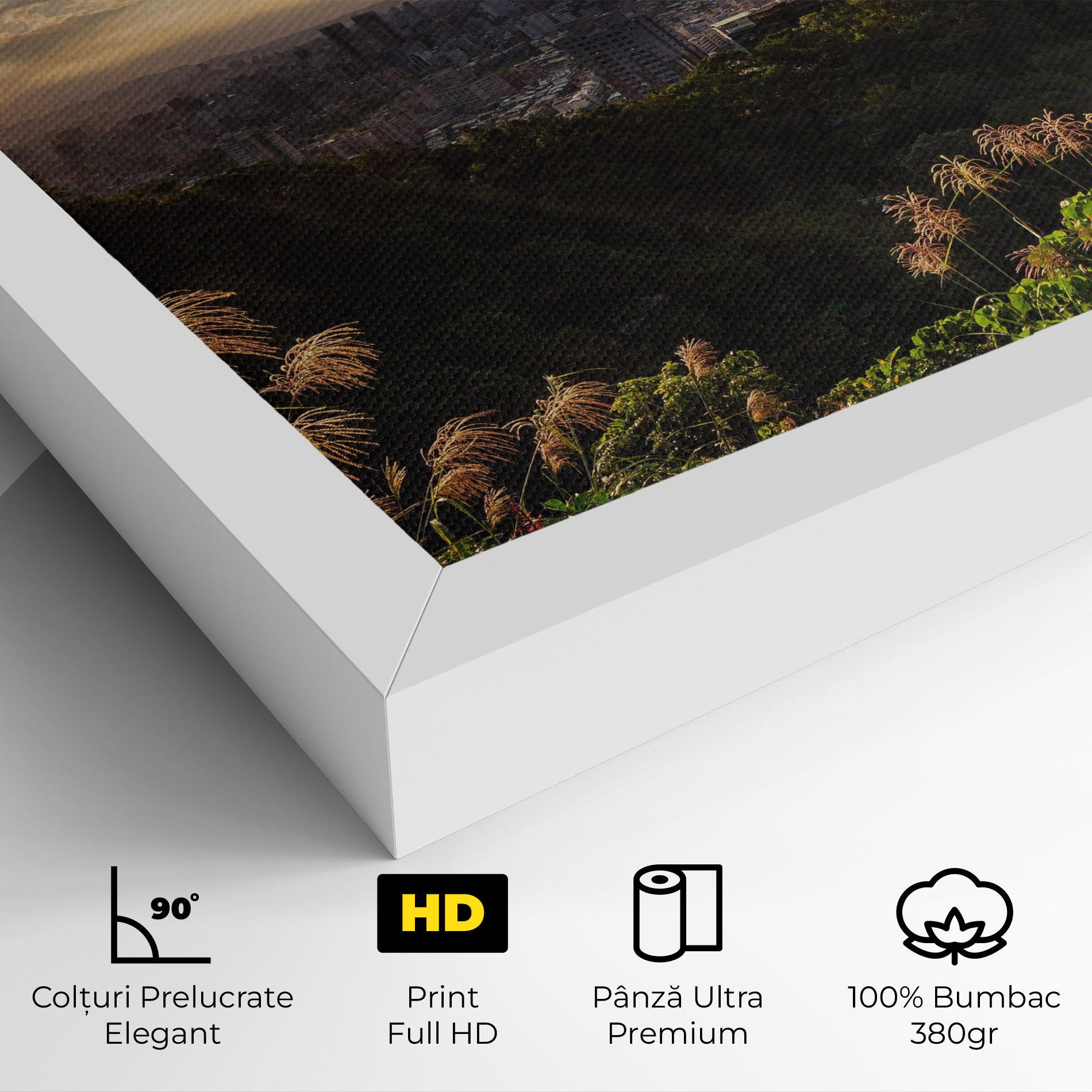 Big Building Daylight mockup 4