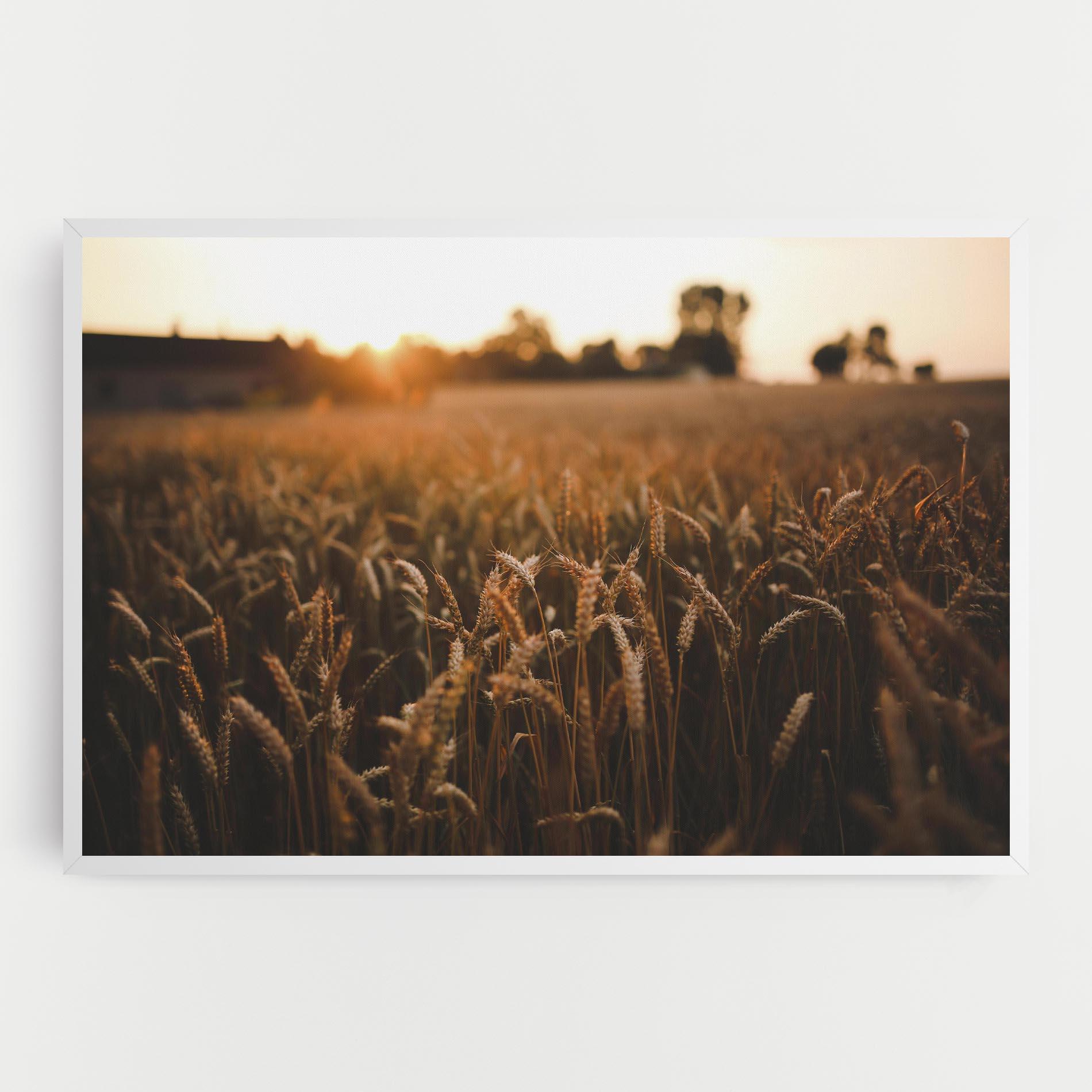 Tablou Canvas Summer Field mockup 0