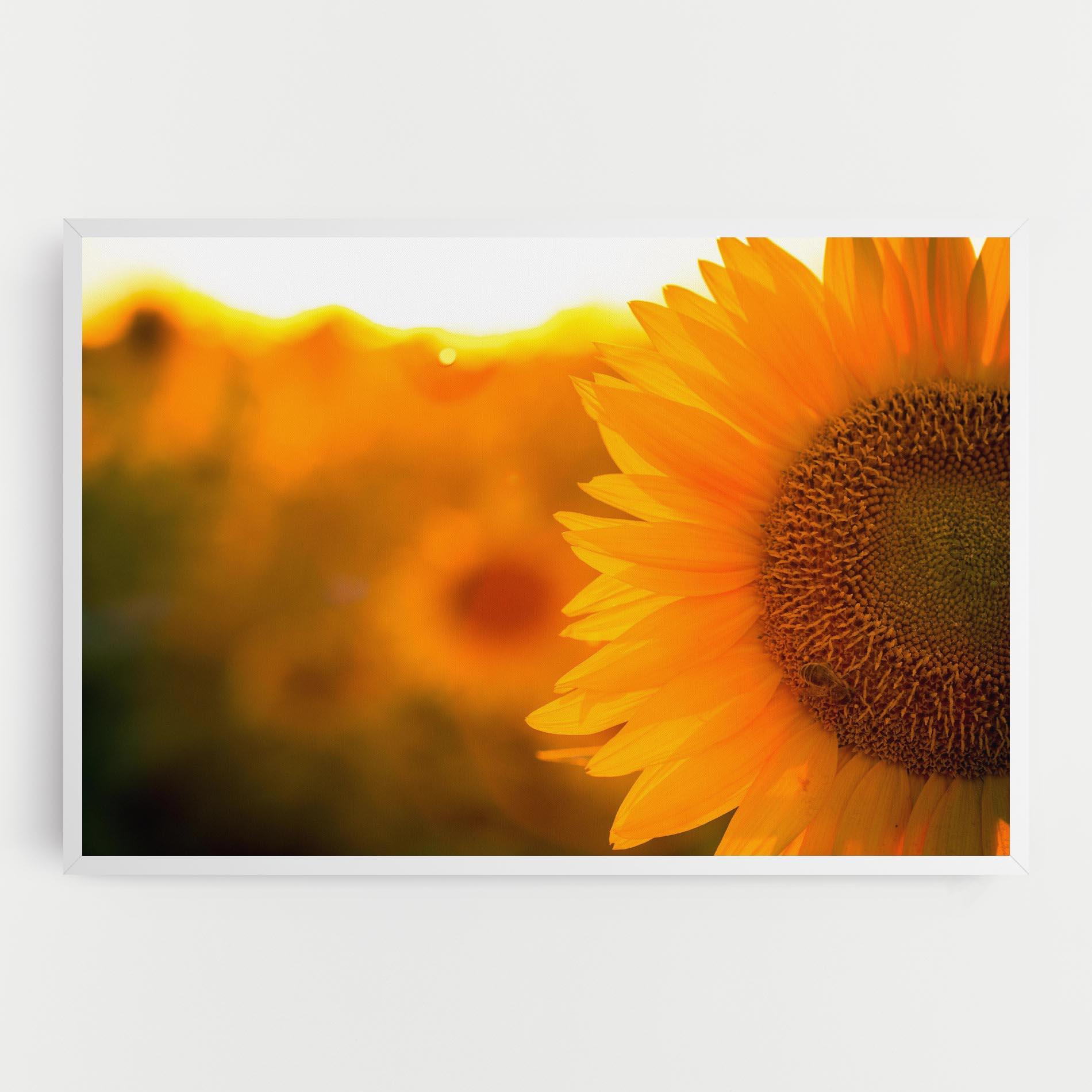 Tablou Canvas Sunflower mockup 0