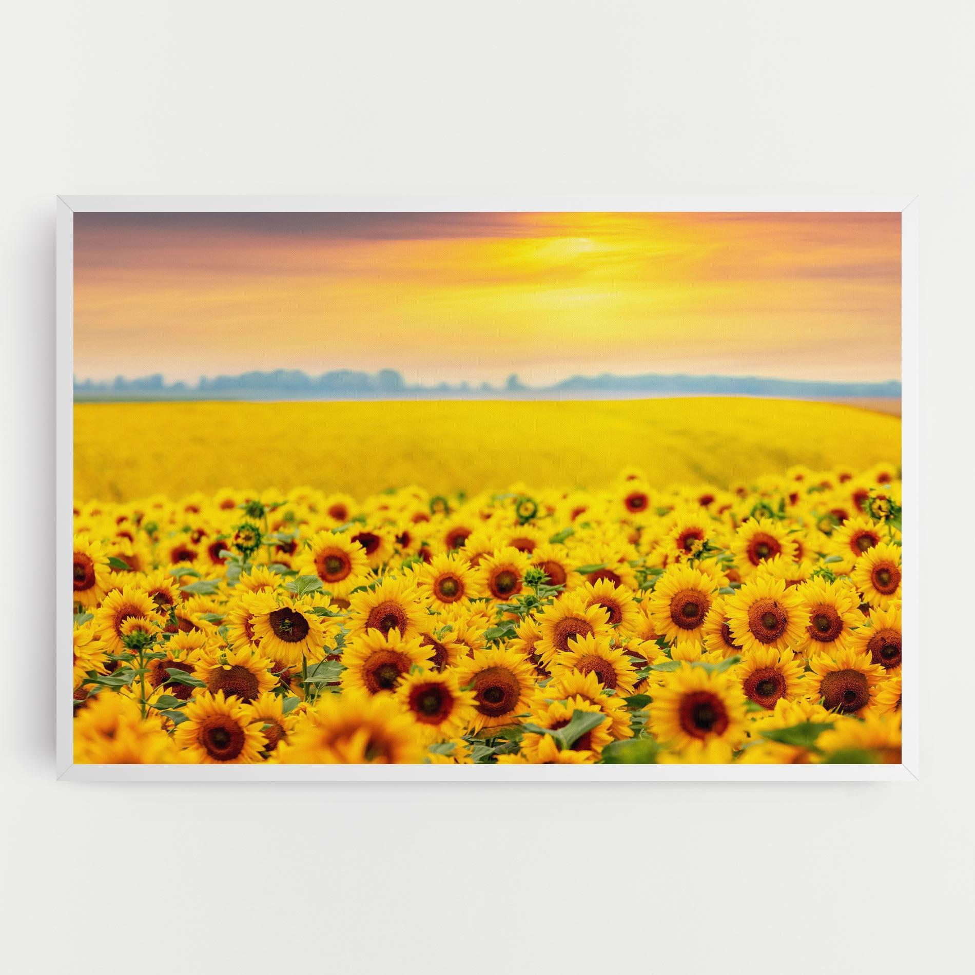 Tablou Canvas Yellow Sunflowers mockup 0