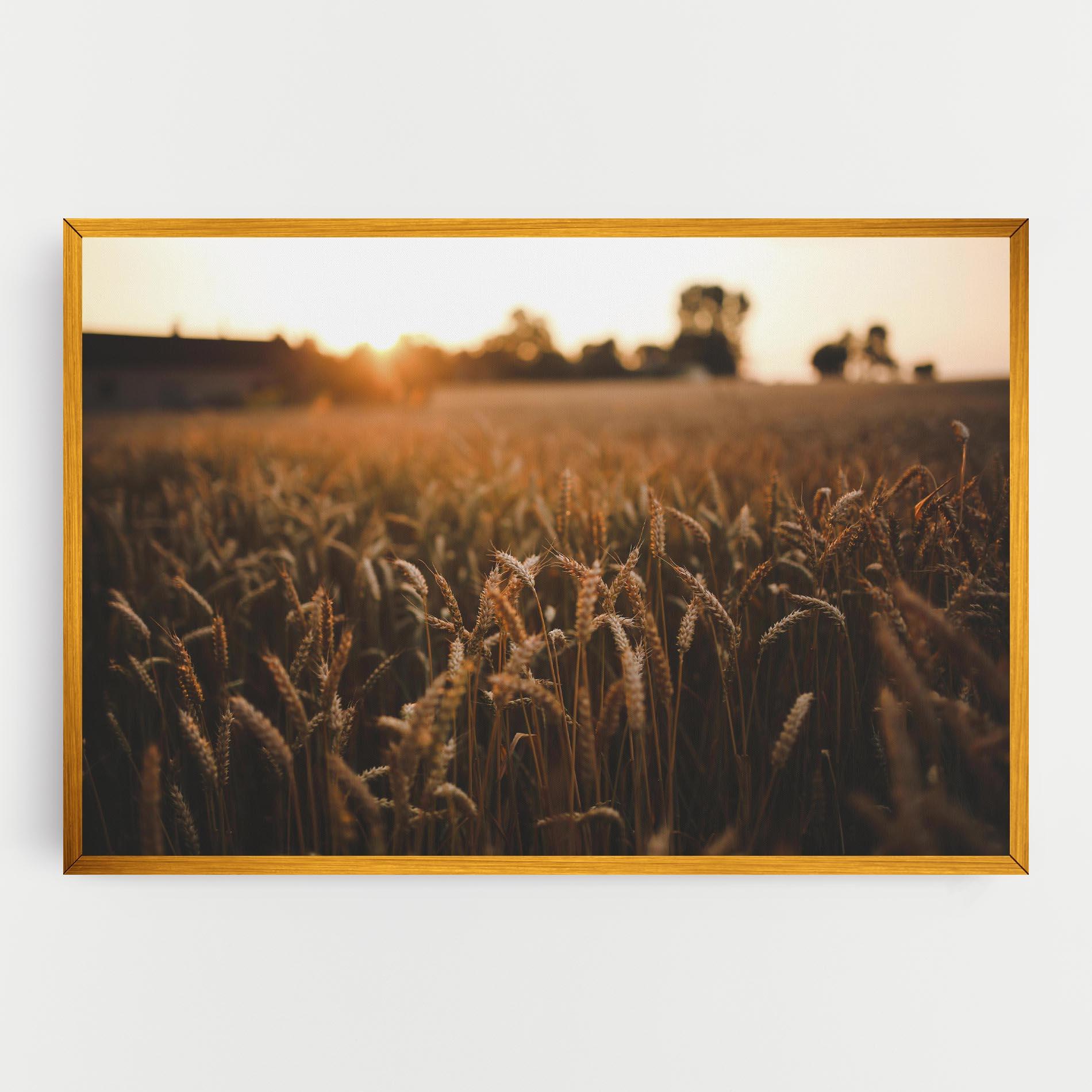 Tablou Canvas Summer Field mockup 0