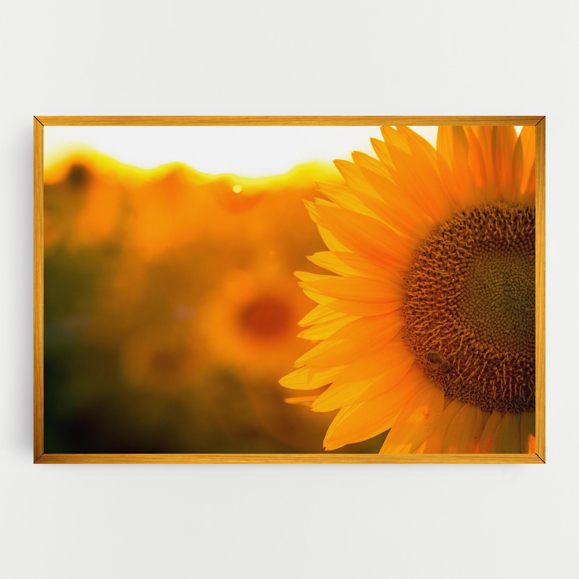 Tablou Canvas Sunflower mockup 0
