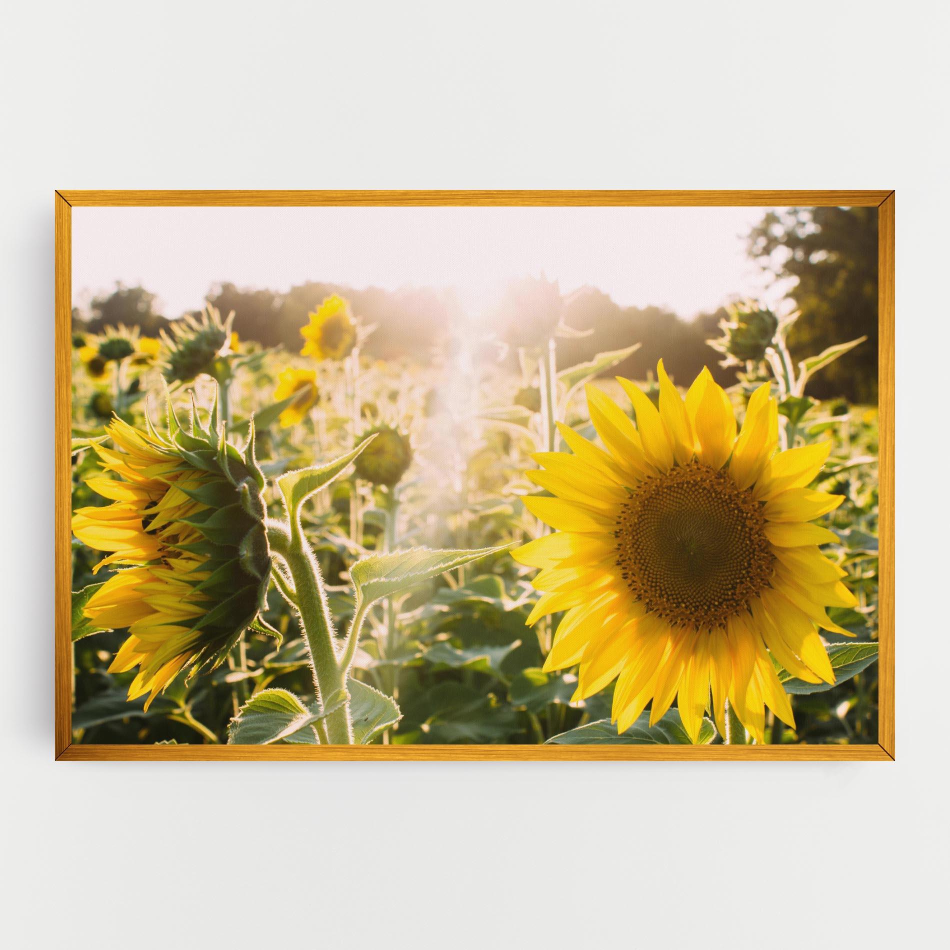 Tablou Canvas Yellow Sun Flower mockup 0