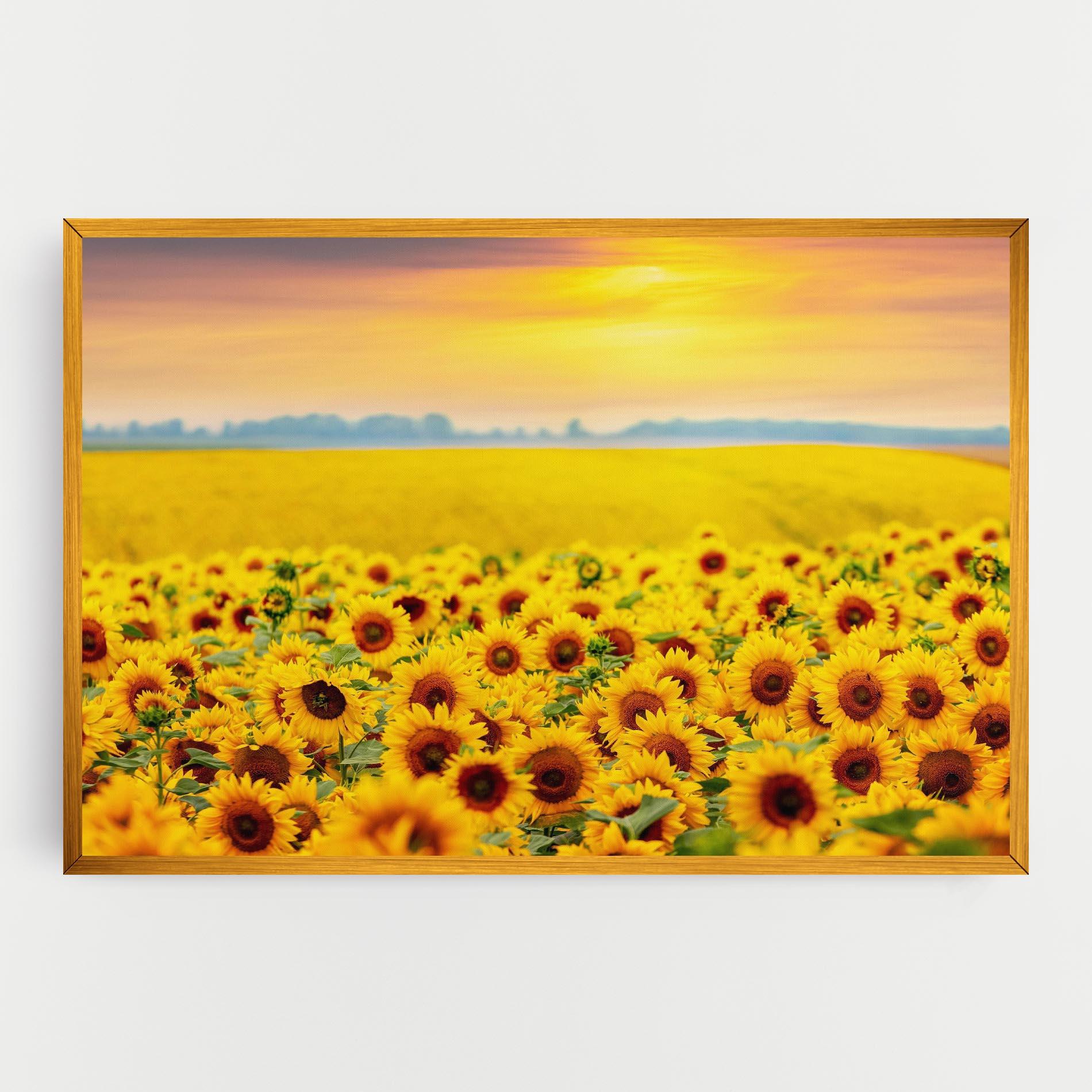 Tablou Canvas Yellow Sunflowers mockup 0