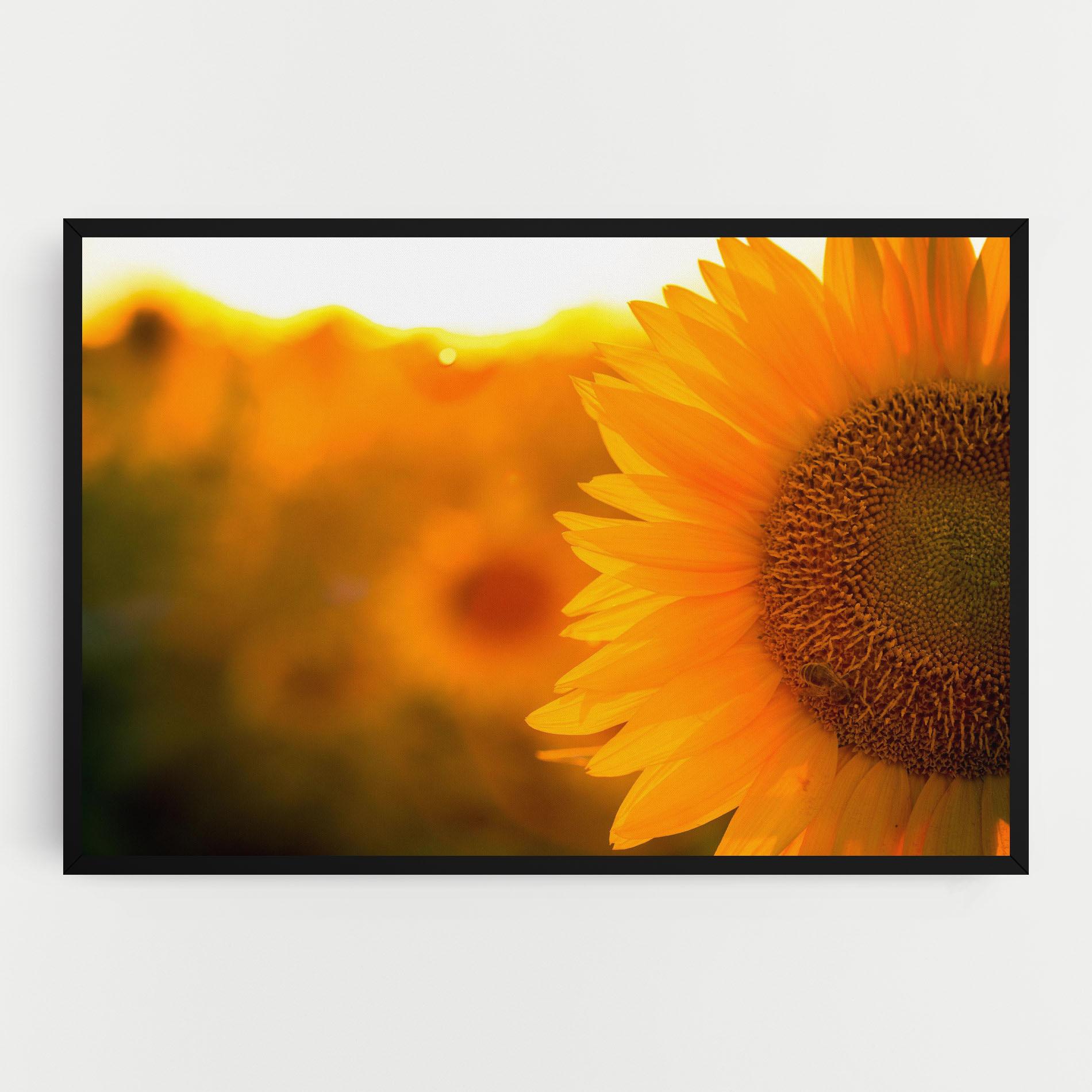 Tablou Canvas Sunflower mockup 0