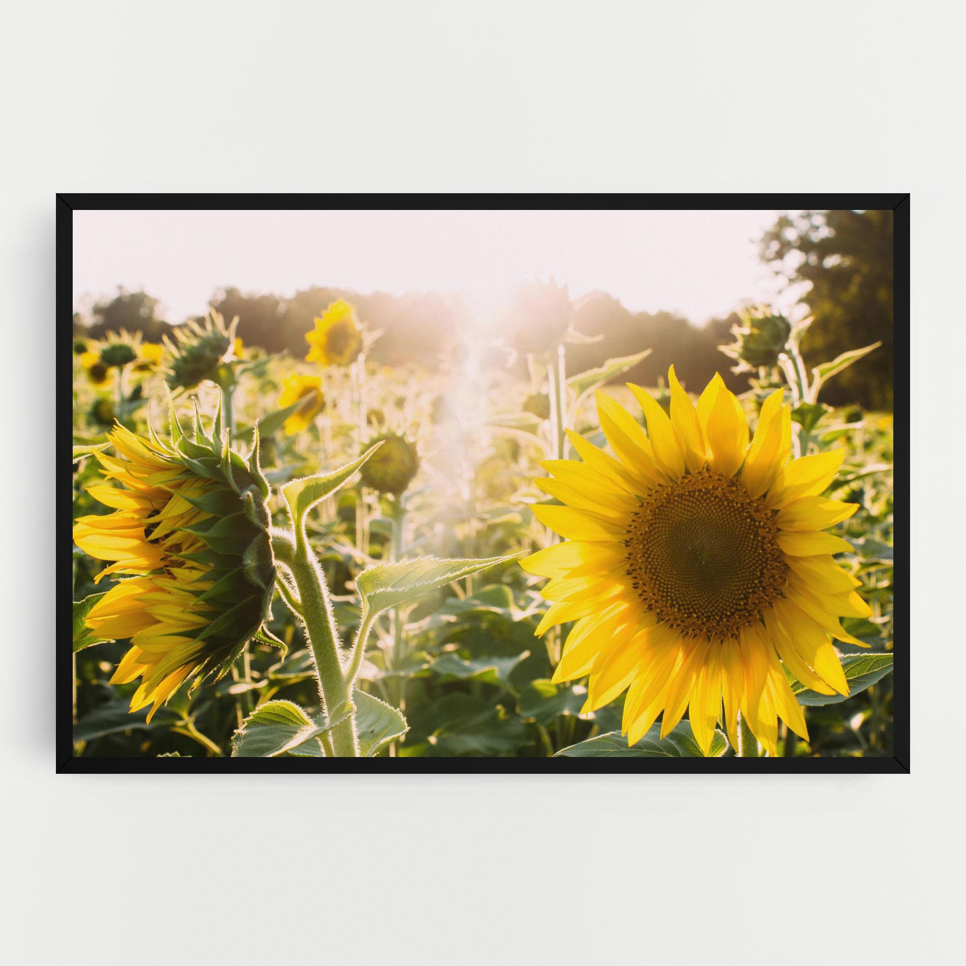 Tablou Canvas Yellow Sun Flower mockup 0