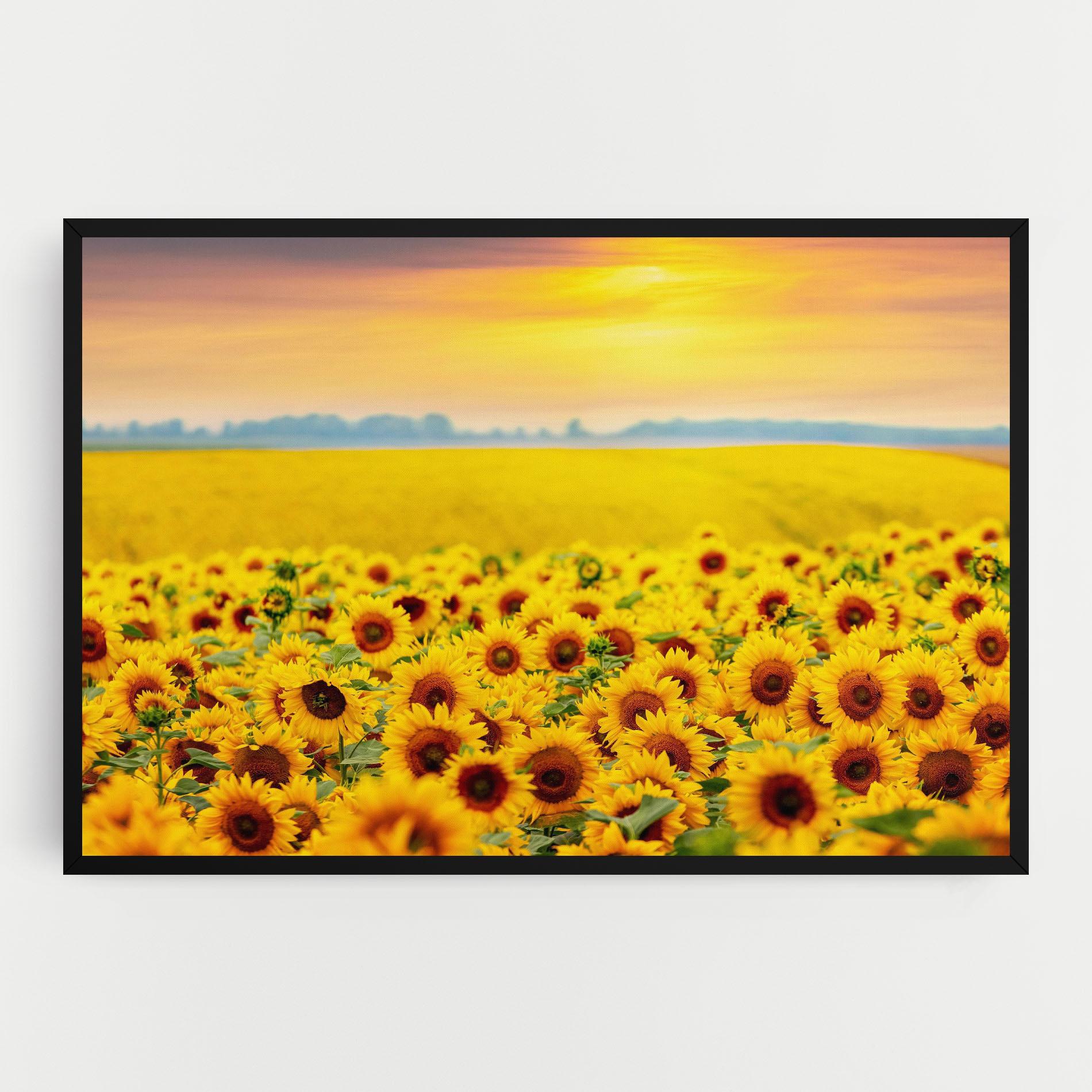 Tablou Canvas Yellow Sunflowers mockup 0