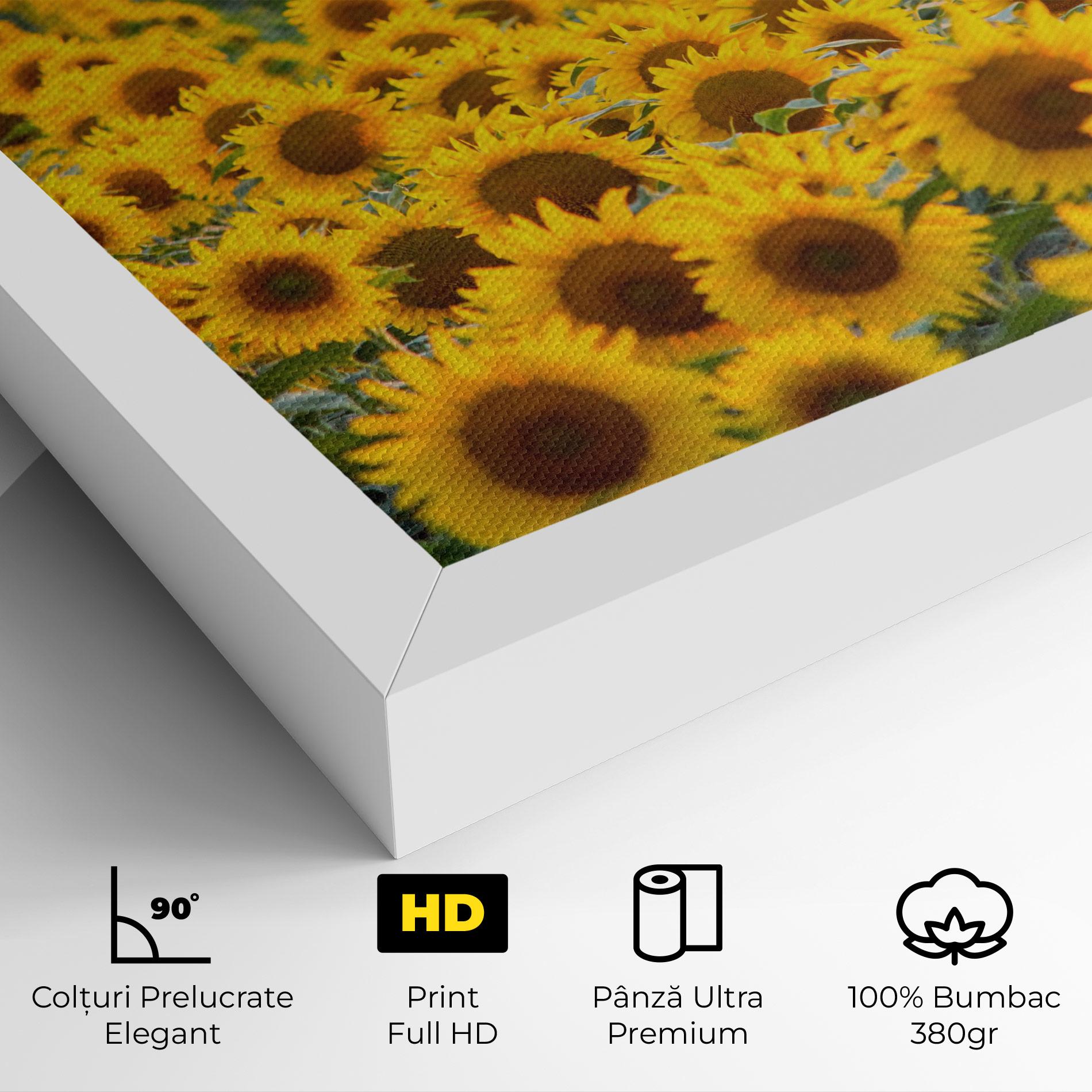 Tablou Canvas Blooming Sunflowers mockup 4