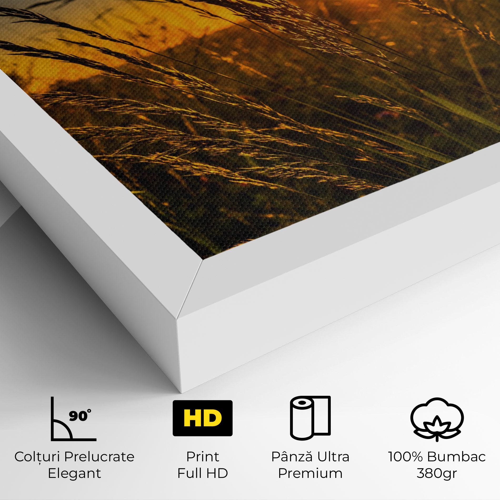 Tablou Canvas Wheat Sunset mockup 4