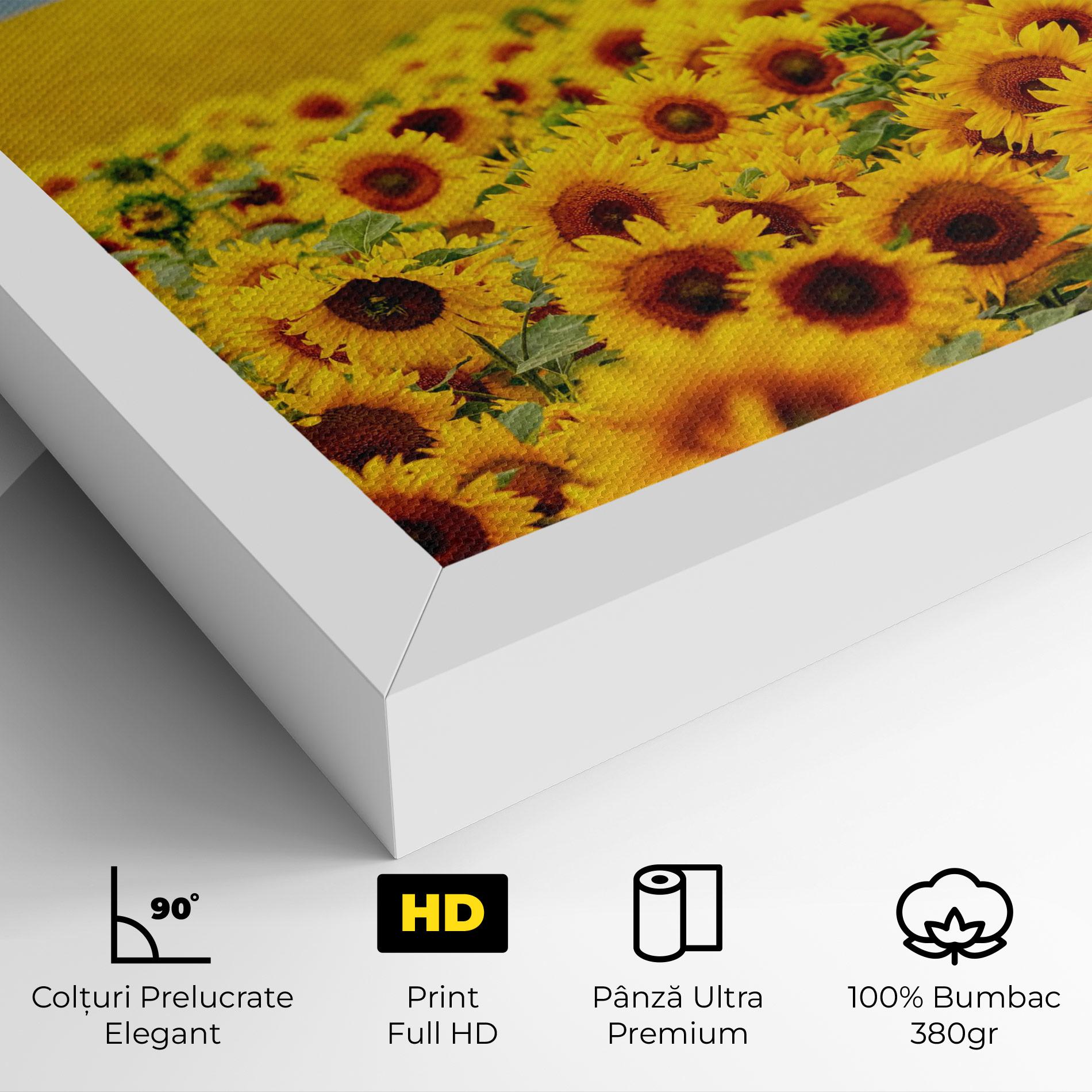 Tablou Canvas Yellow Sunflowers mockup 4