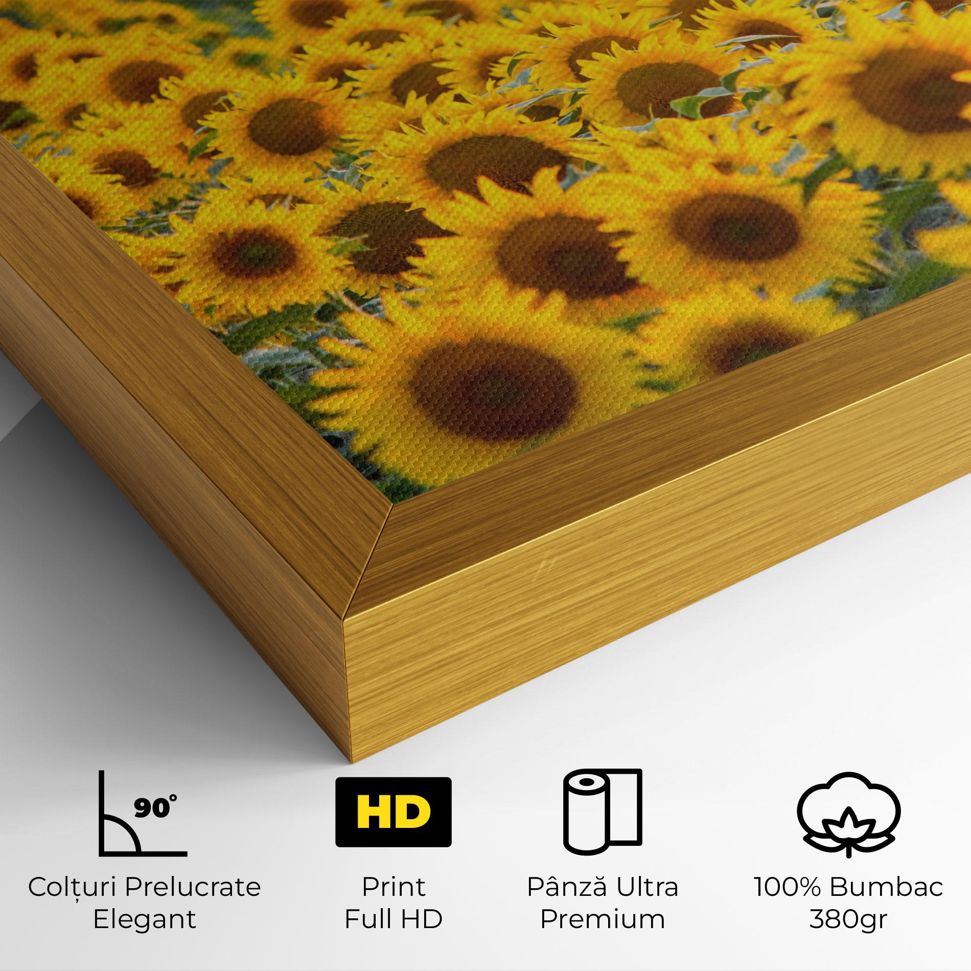Tablou Canvas Blooming Sunflowers mockup 4