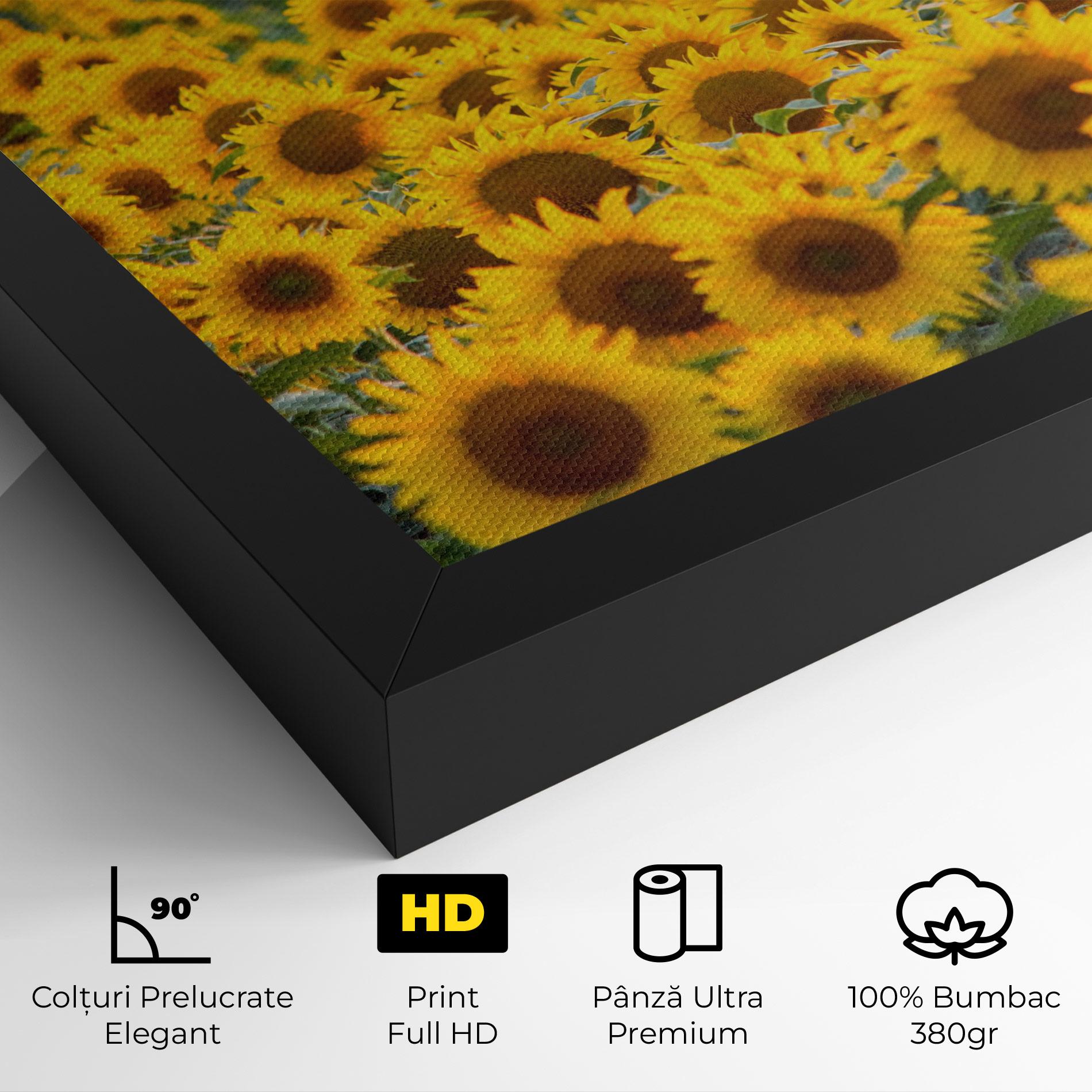Tablou Canvas Blooming Sunflowers mockup 4