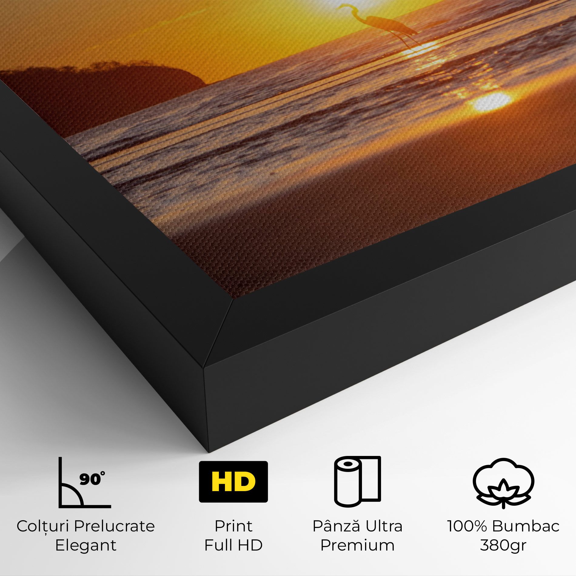 Sunset Bird Silhouette mockup 4