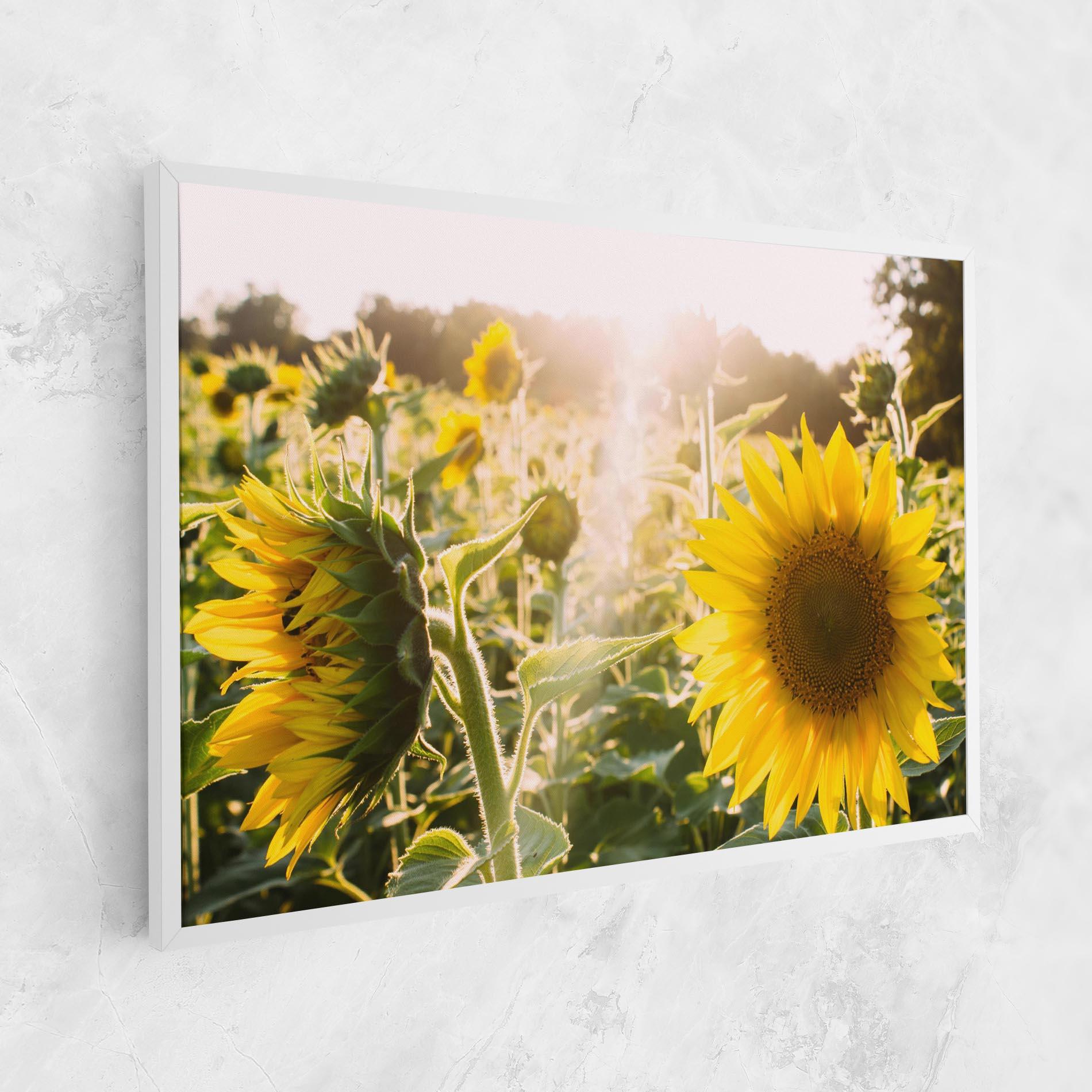 Tablou Canvas Yellow Sun Flower mockup 1