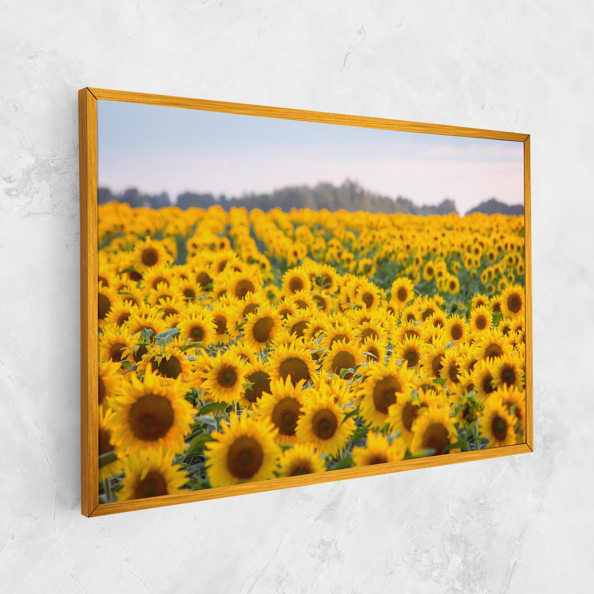 Tablou Canvas Blooming Sunflowers mockup 1