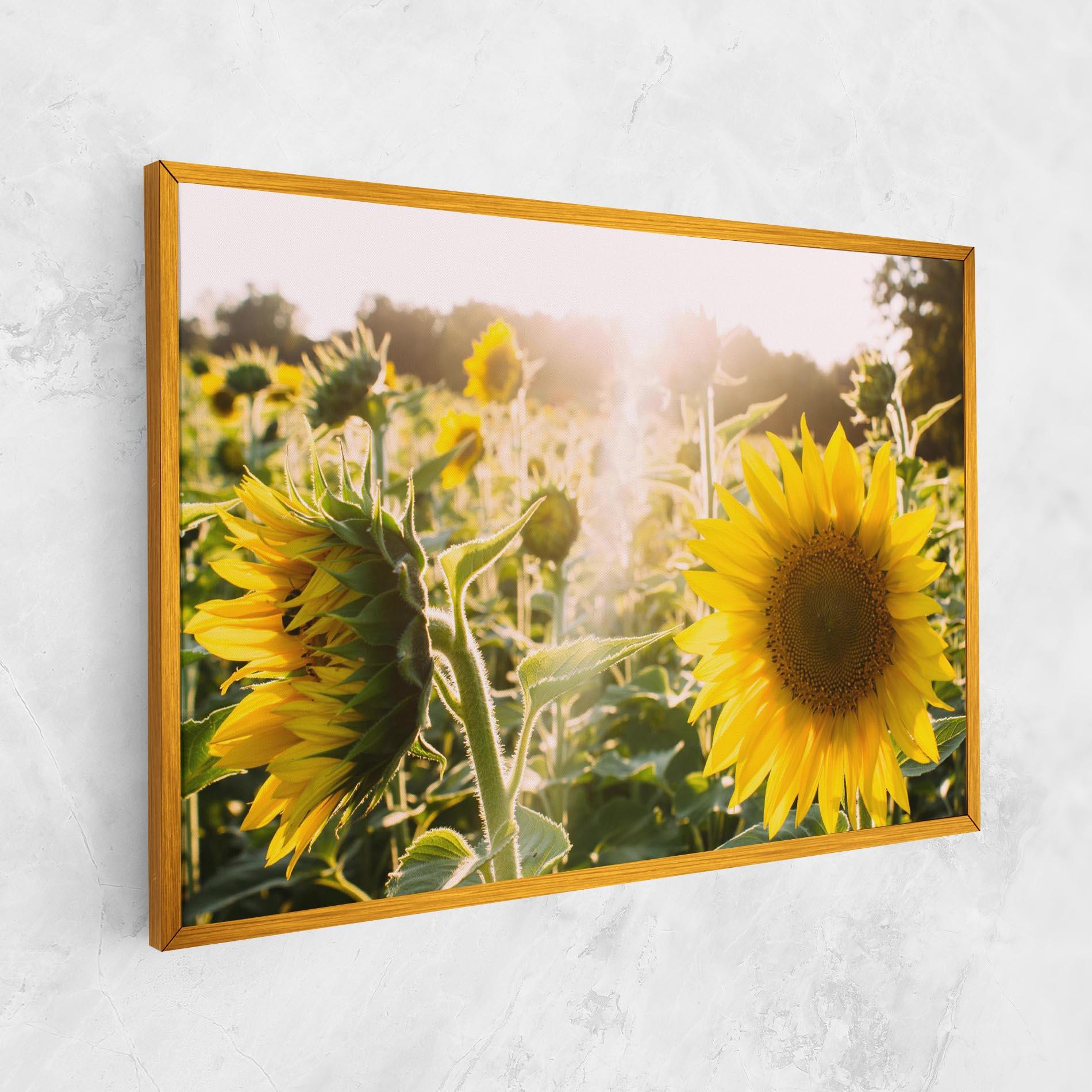 Tablou Canvas Yellow Sun Flower mockup 1