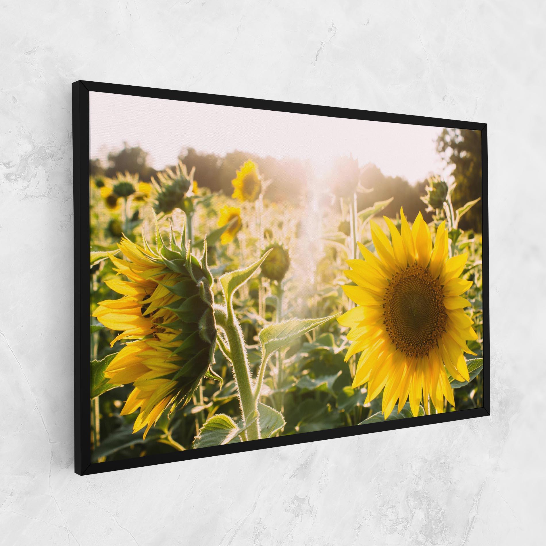 Tablou Canvas Yellow Sun Flower mockup 1