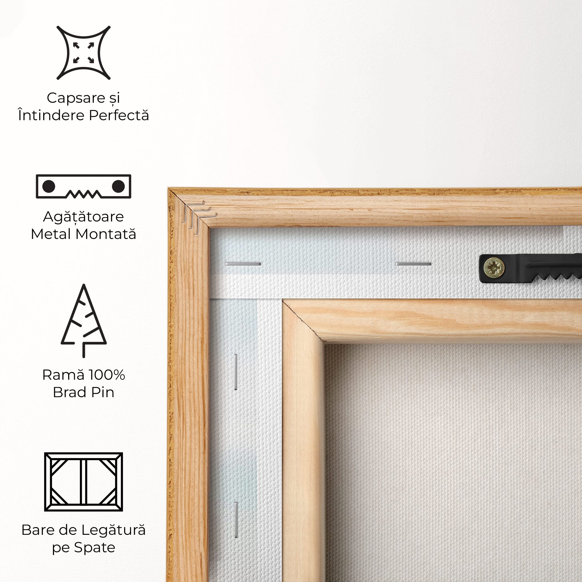 Eating Watermelon mockup 5