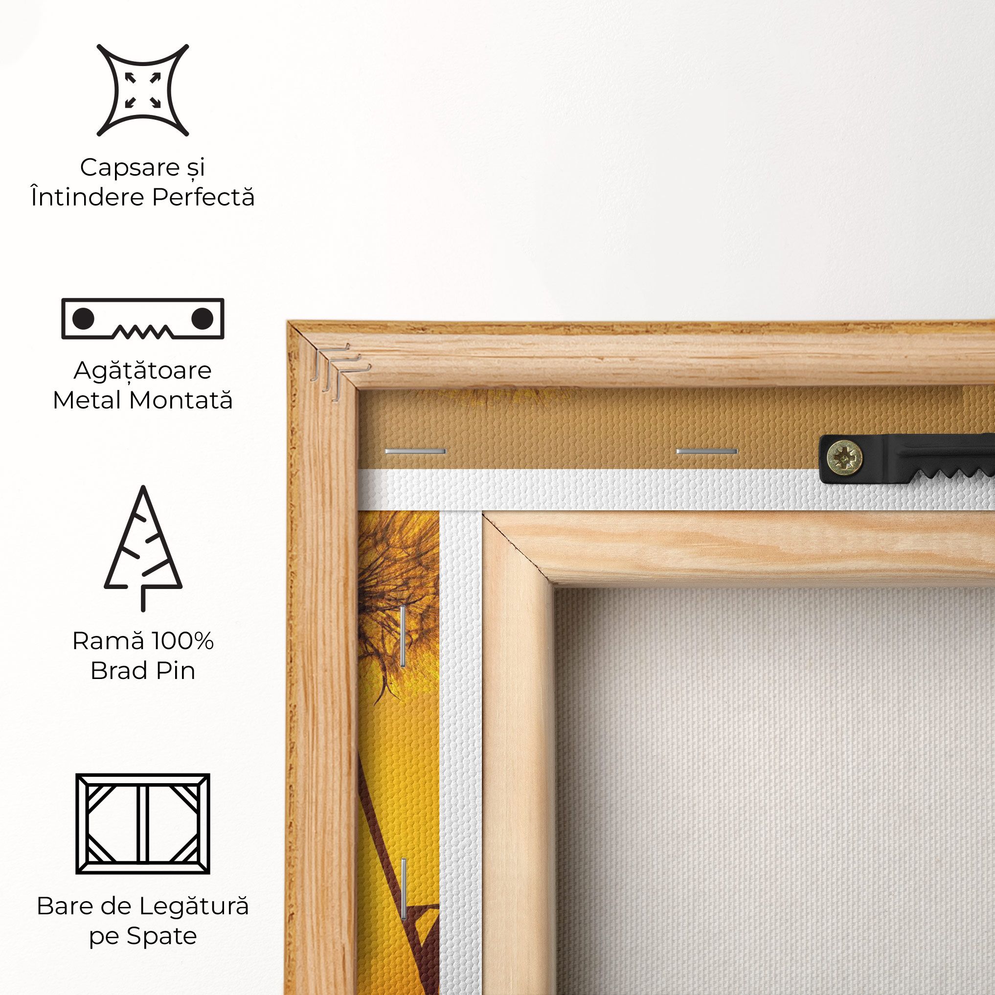 Summer Dandelion mockup 5