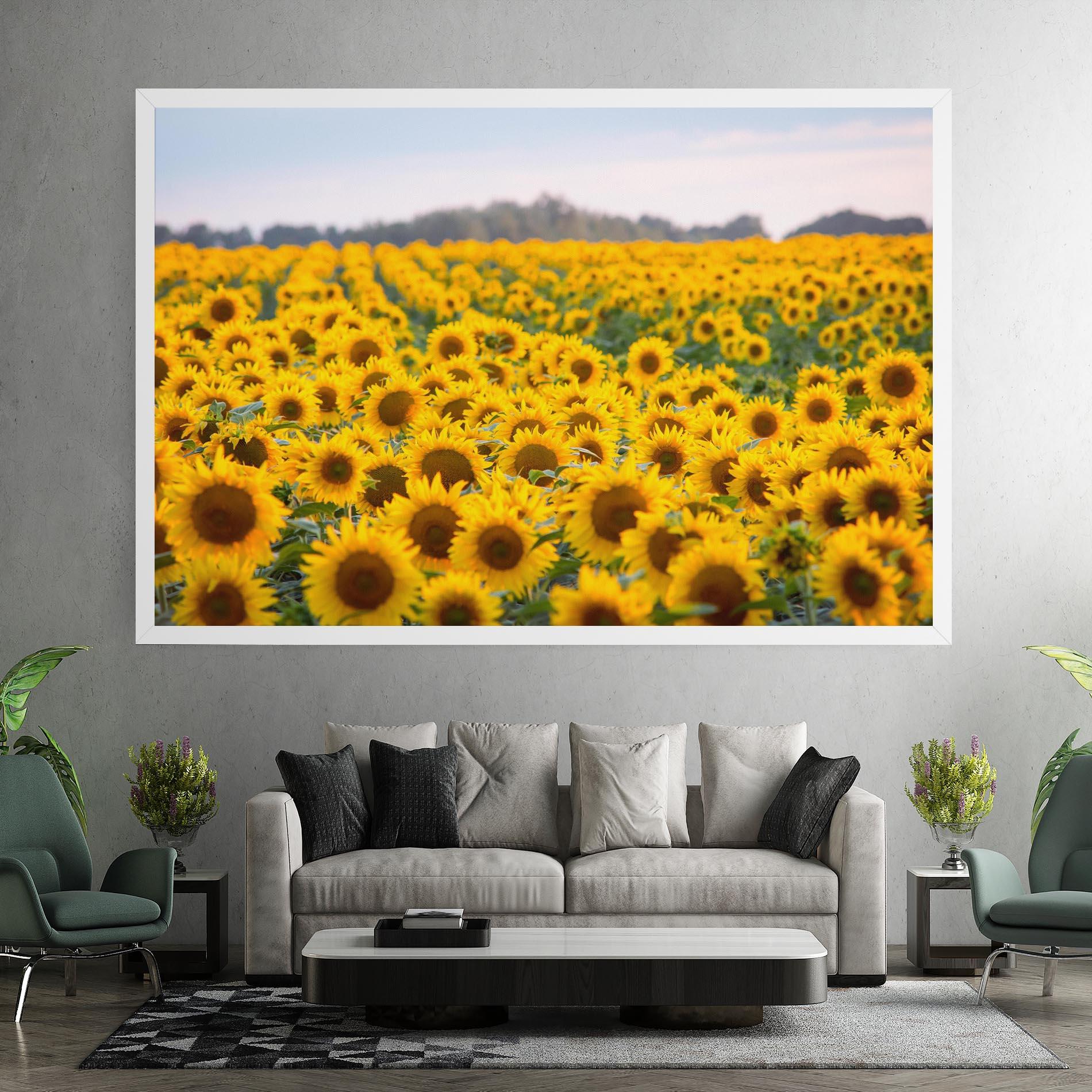 Tablou Canvas Blooming Sunflowers mockup 7