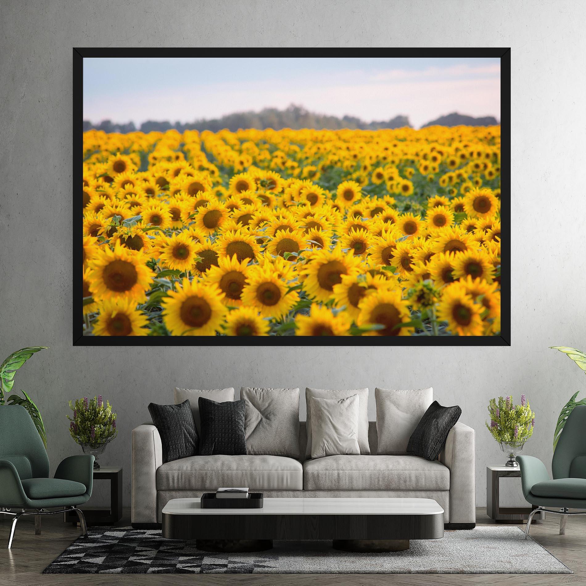 Tablou Canvas Blooming Sunflowers mockup 7