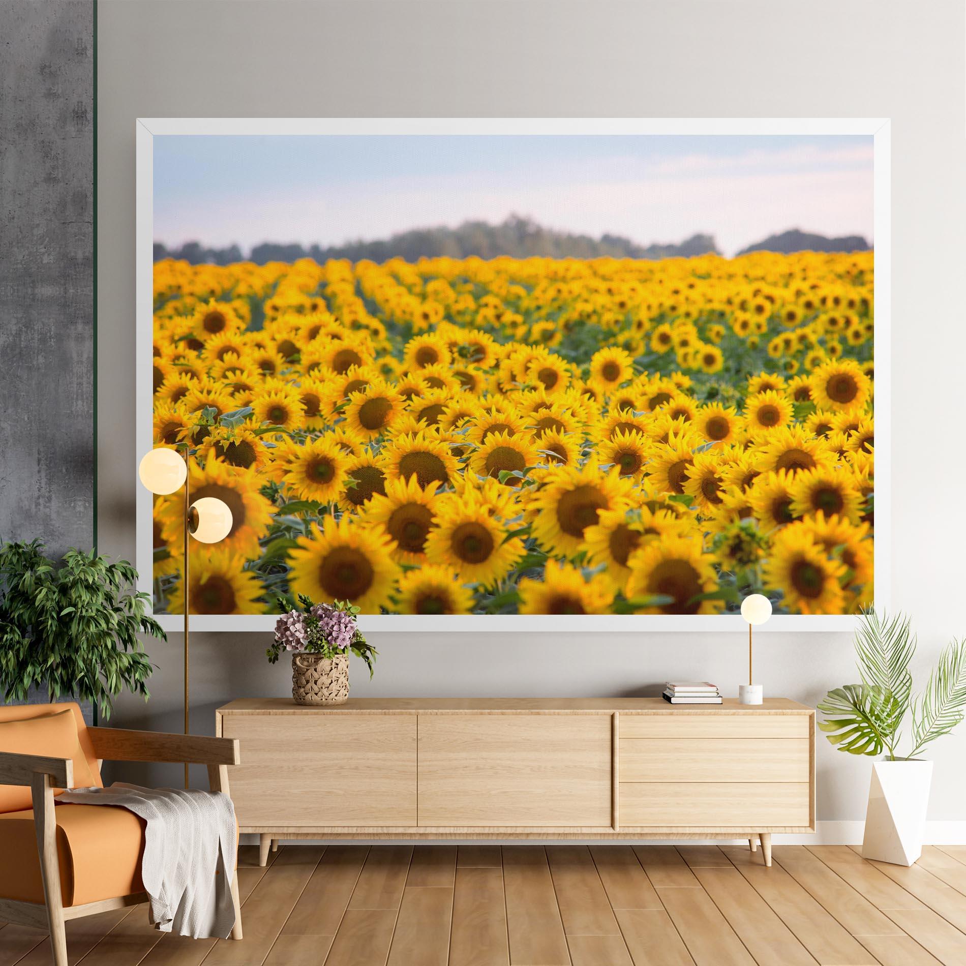 Tablou Canvas Blooming Sunflowers mockup 9