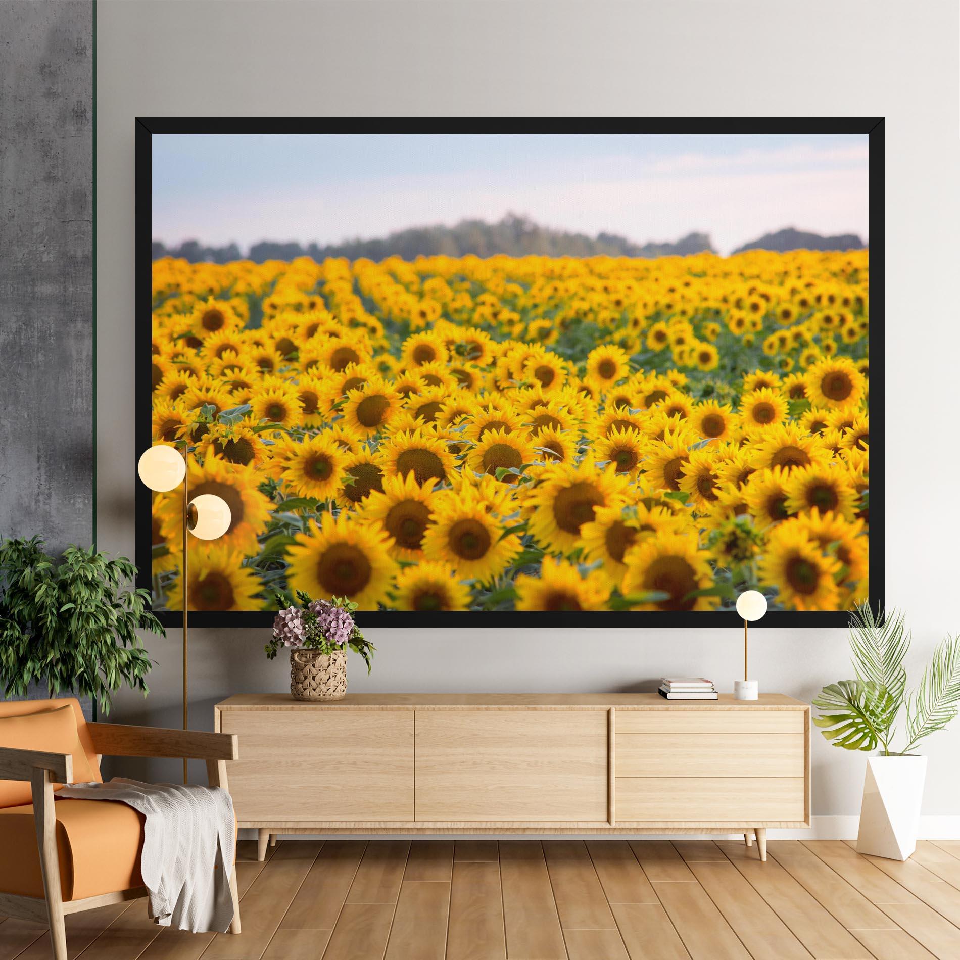 Tablou Canvas Blooming Sunflowers mockup 9