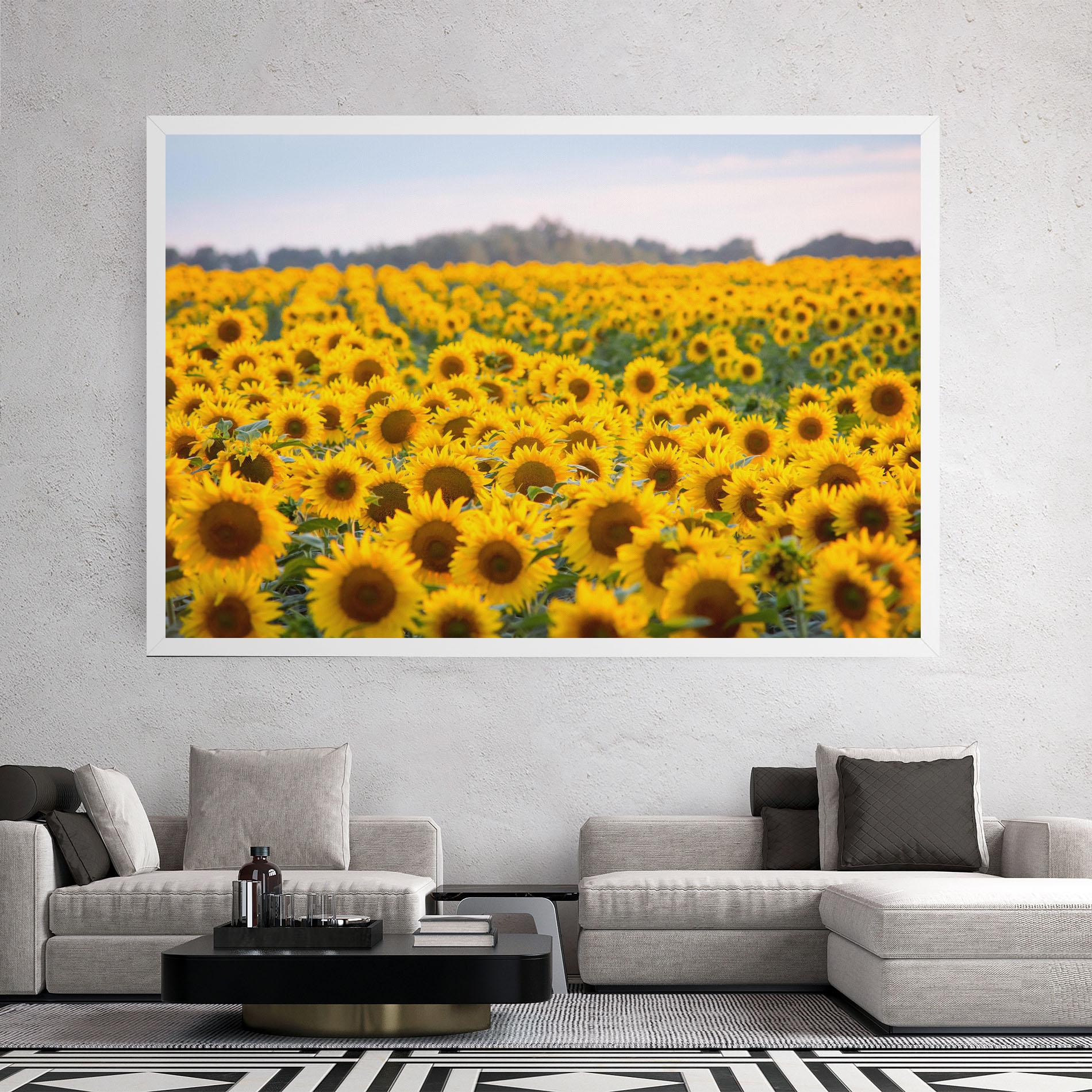 Tablou Canvas Blooming Sunflowers mockup 2