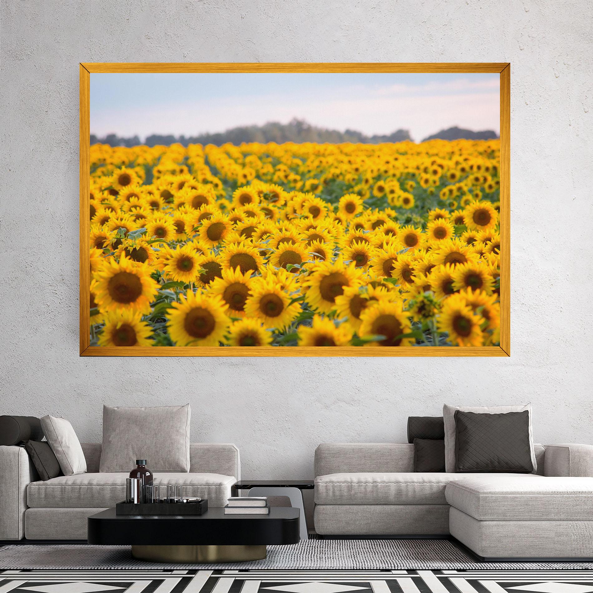 Tablou Canvas Blooming Sunflowers mockup 2