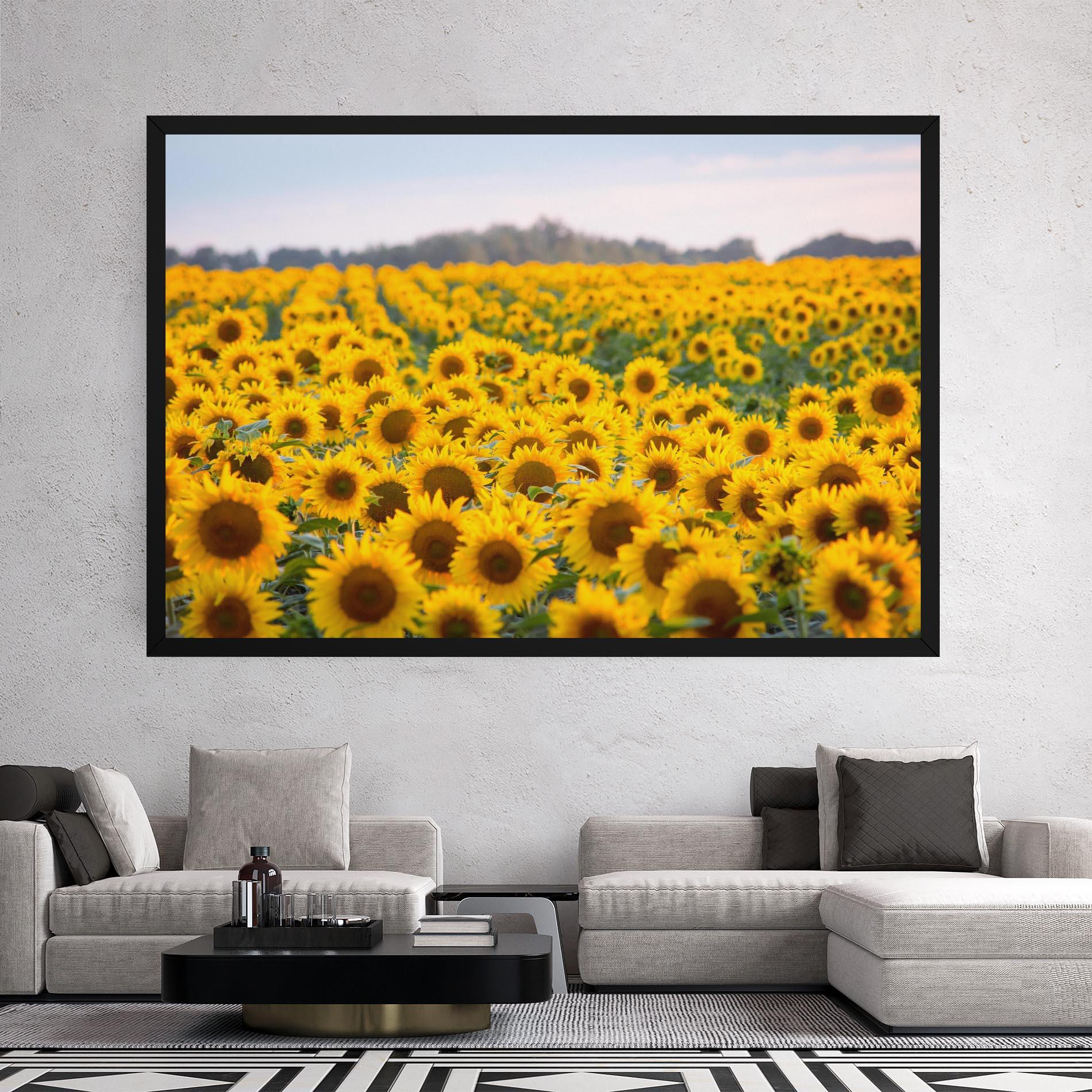 Tablou Canvas Blooming Sunflowers mockup 2